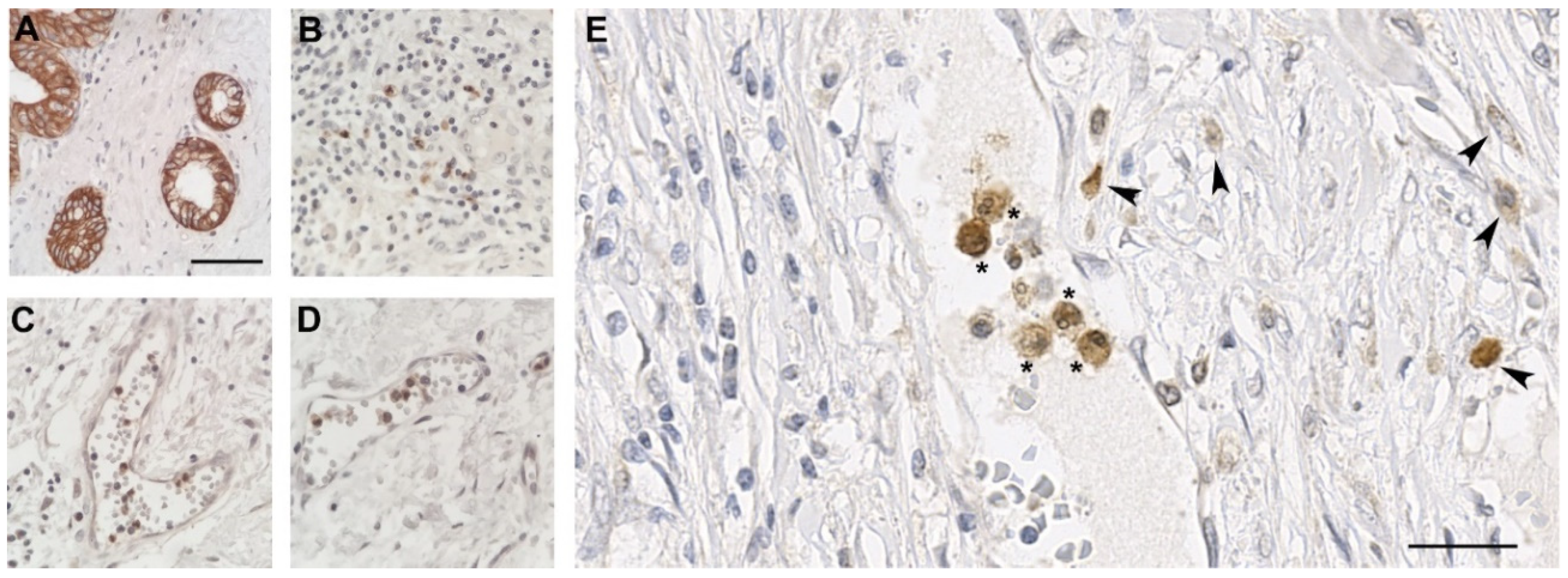 Jpm 11 00113 g004 Jpm 11 00113 g004