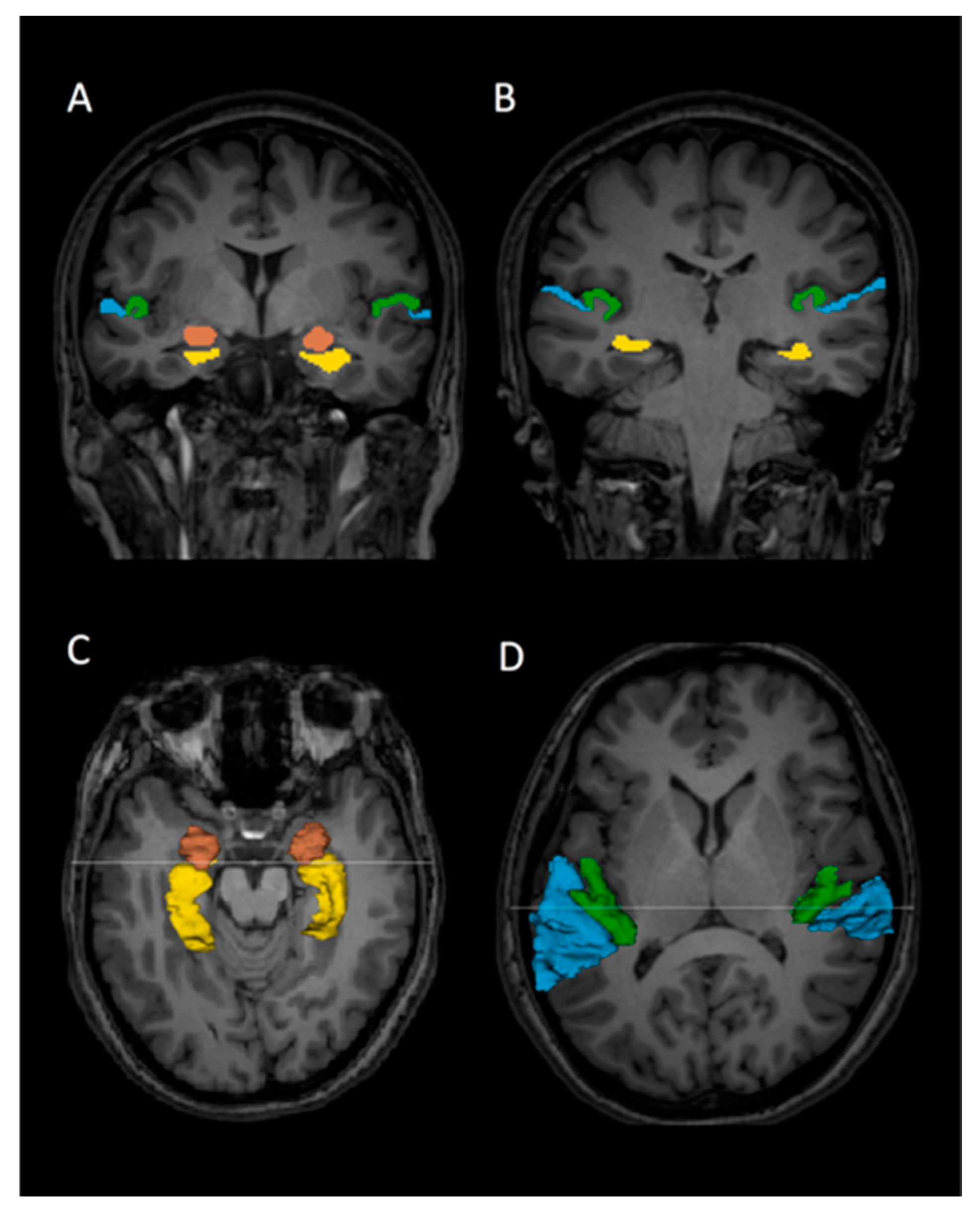 Jpm 11 00121 g001 Jpm 11 00121 g001