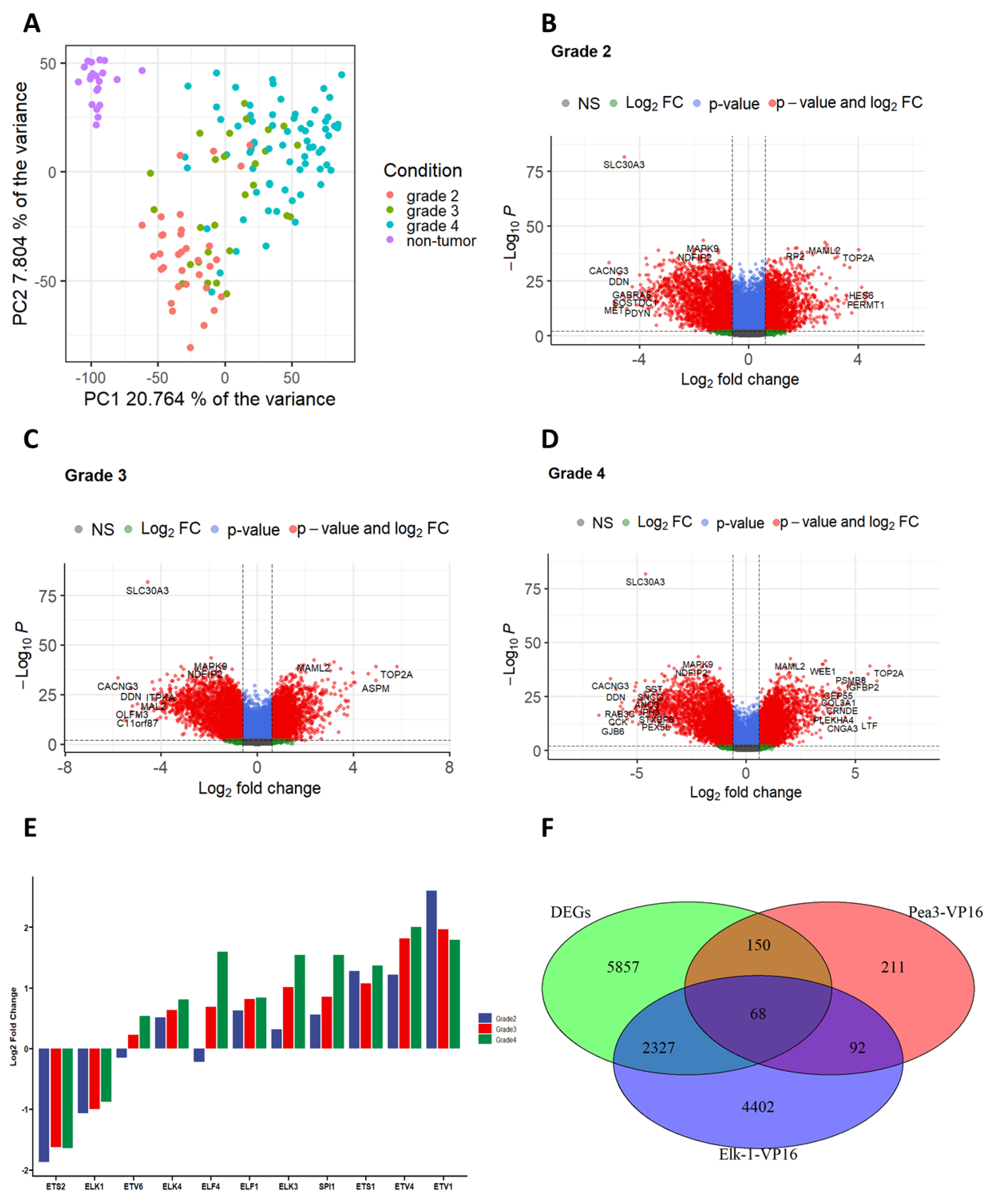 Jpm 11 00138 g002 Jpm 11 00138 g002
