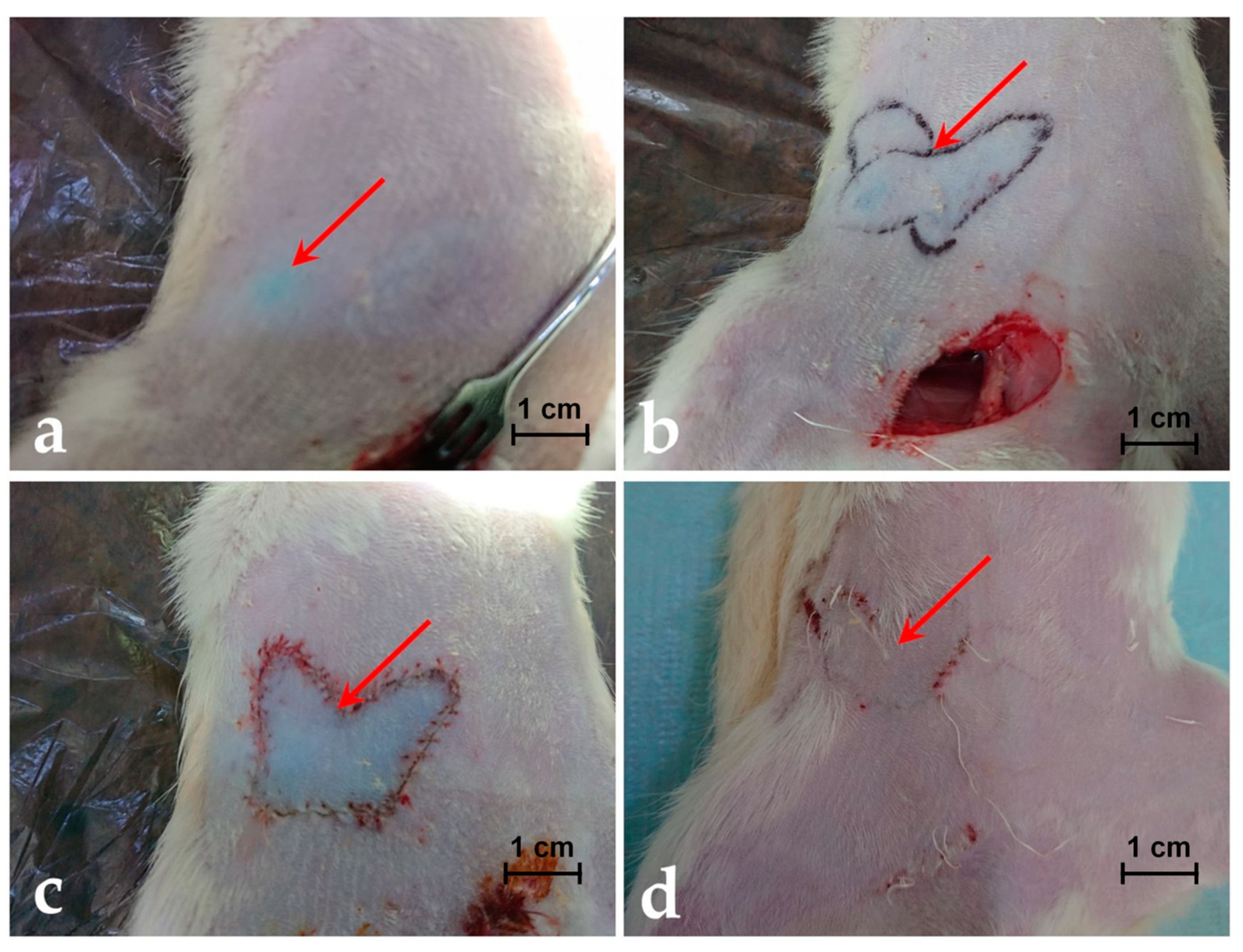 Jpm 11 00147 g002 Jpm 11 00147 g002