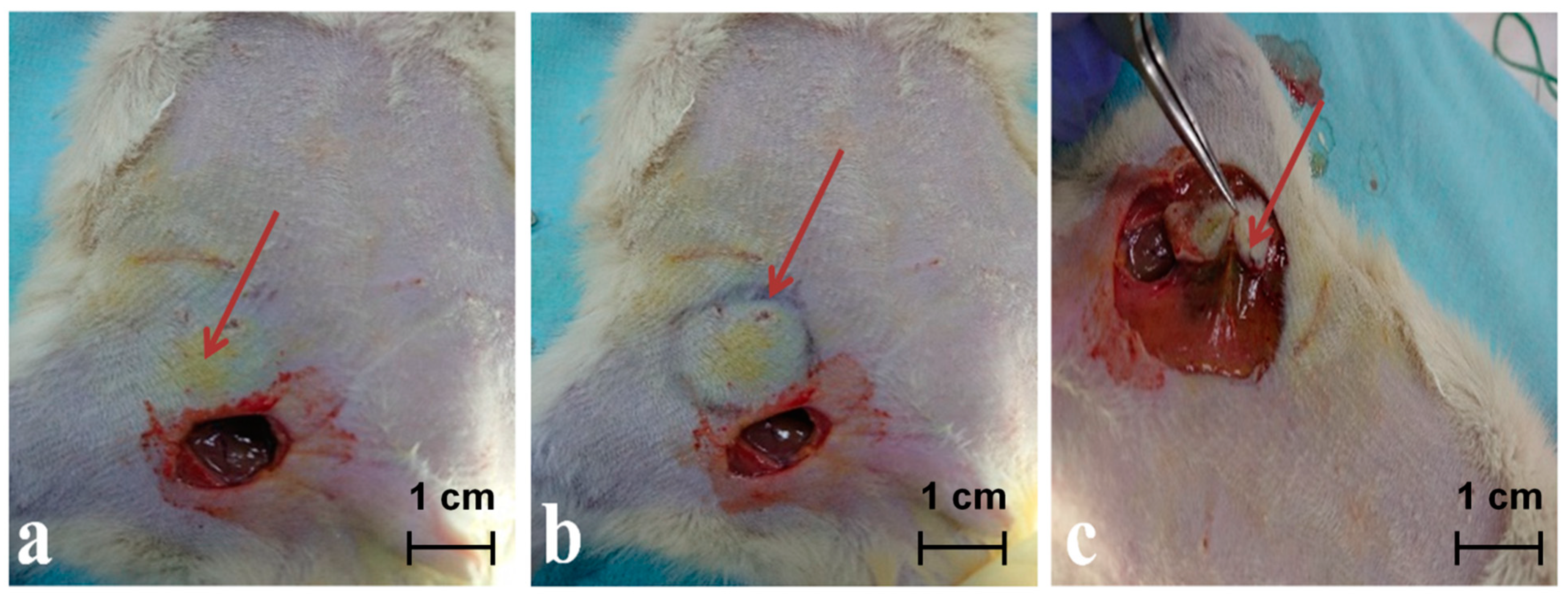 Jpm 11 00147 g004 Jpm 11 00147 g004