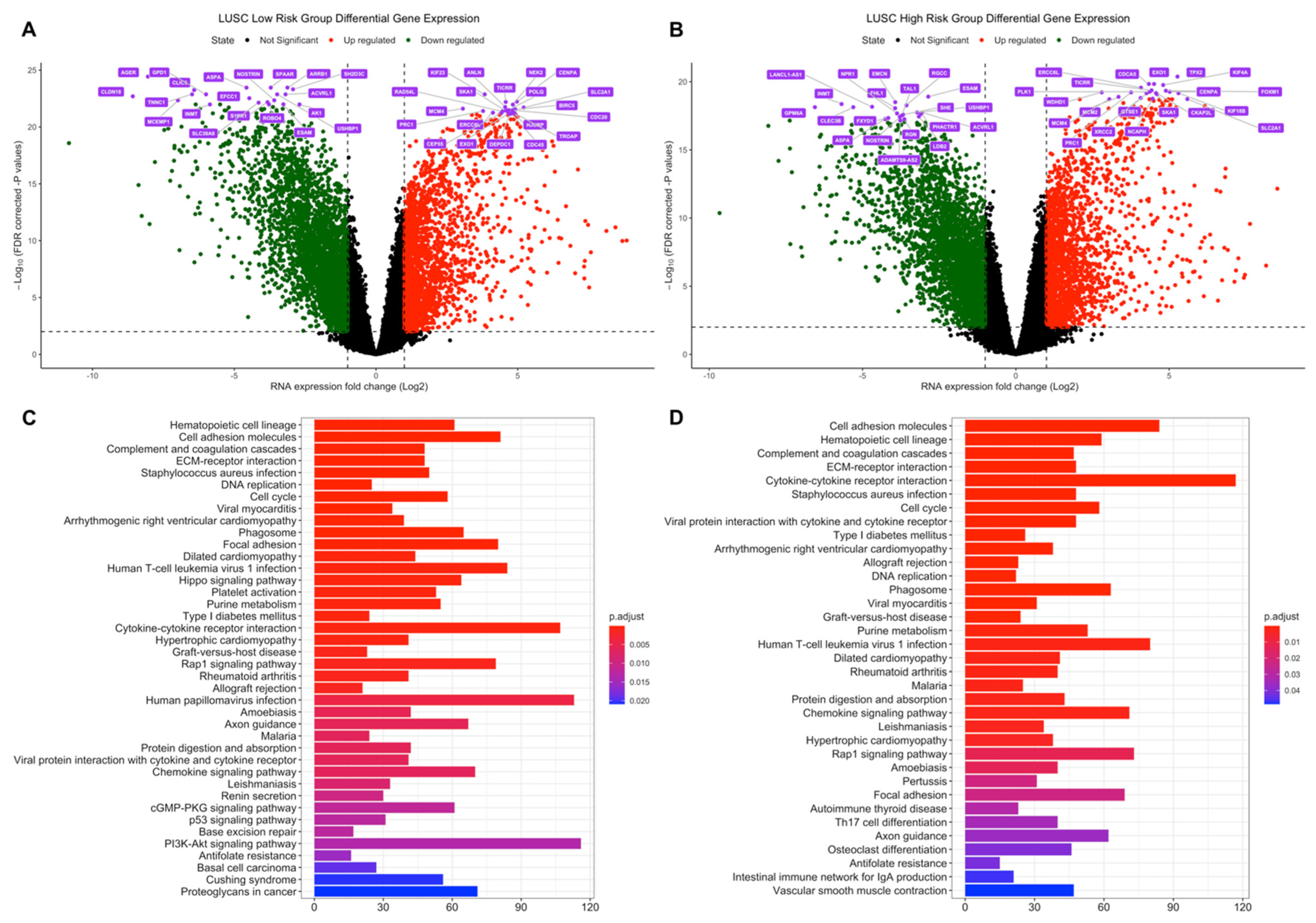 Jpm 11 00154 g005 Jpm 11 00154 g005