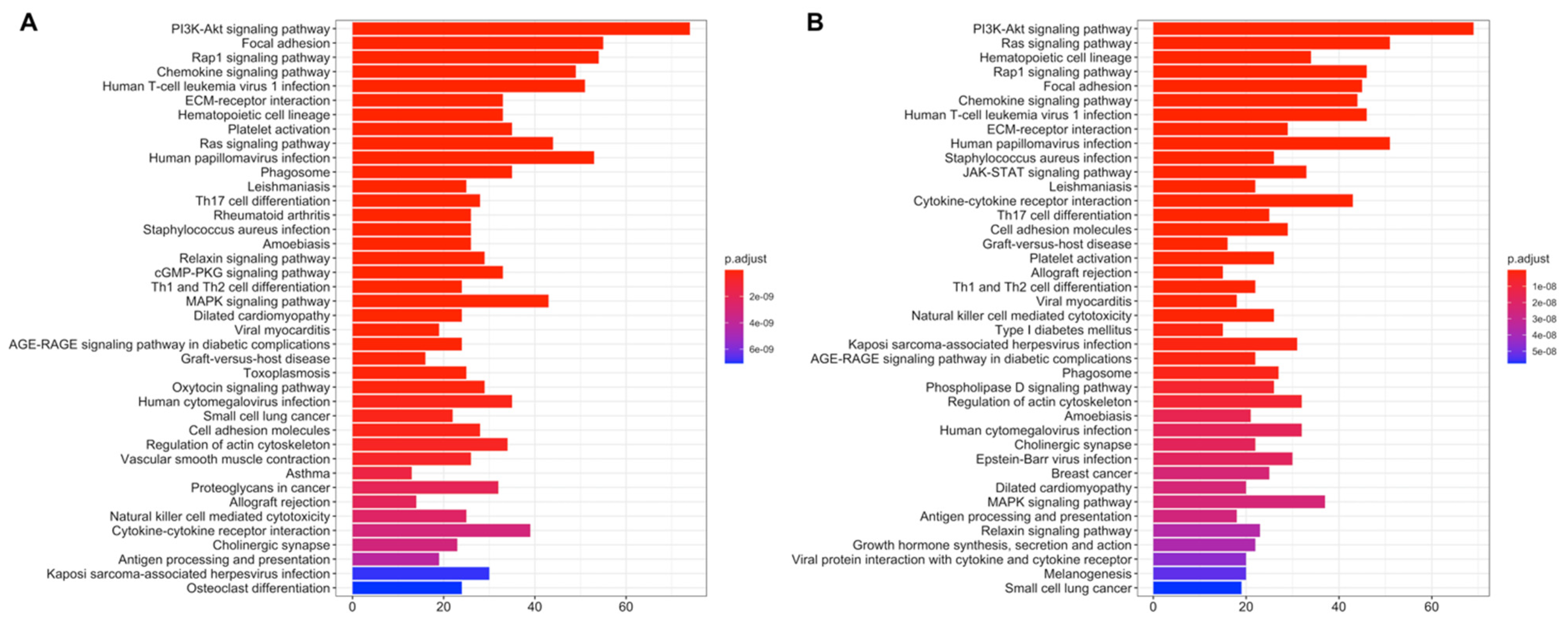 Jpm 11 00154 g006 Jpm 11 00154 g006