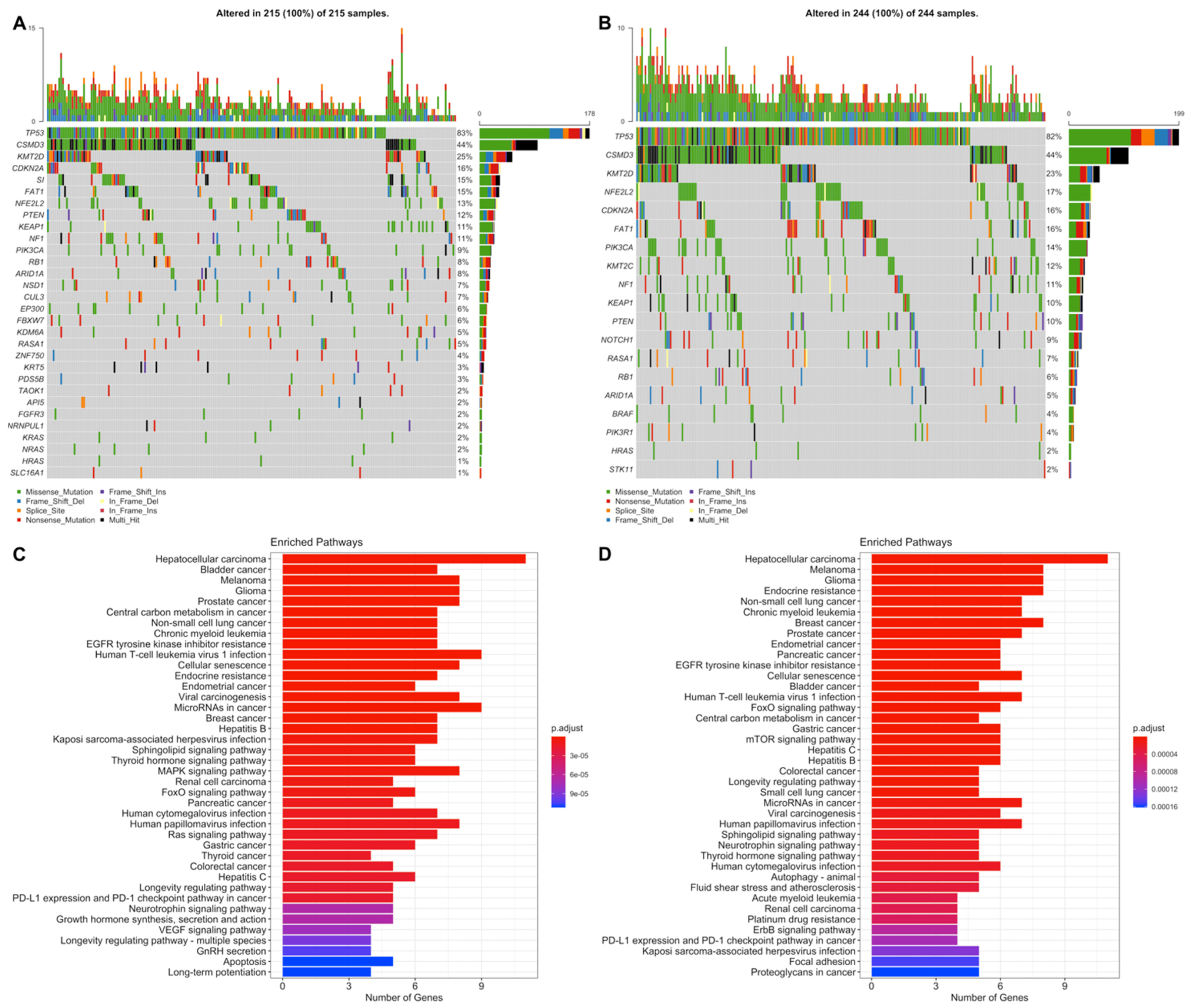 Jpm 11 00154 g010 Jpm 11 00154 g010