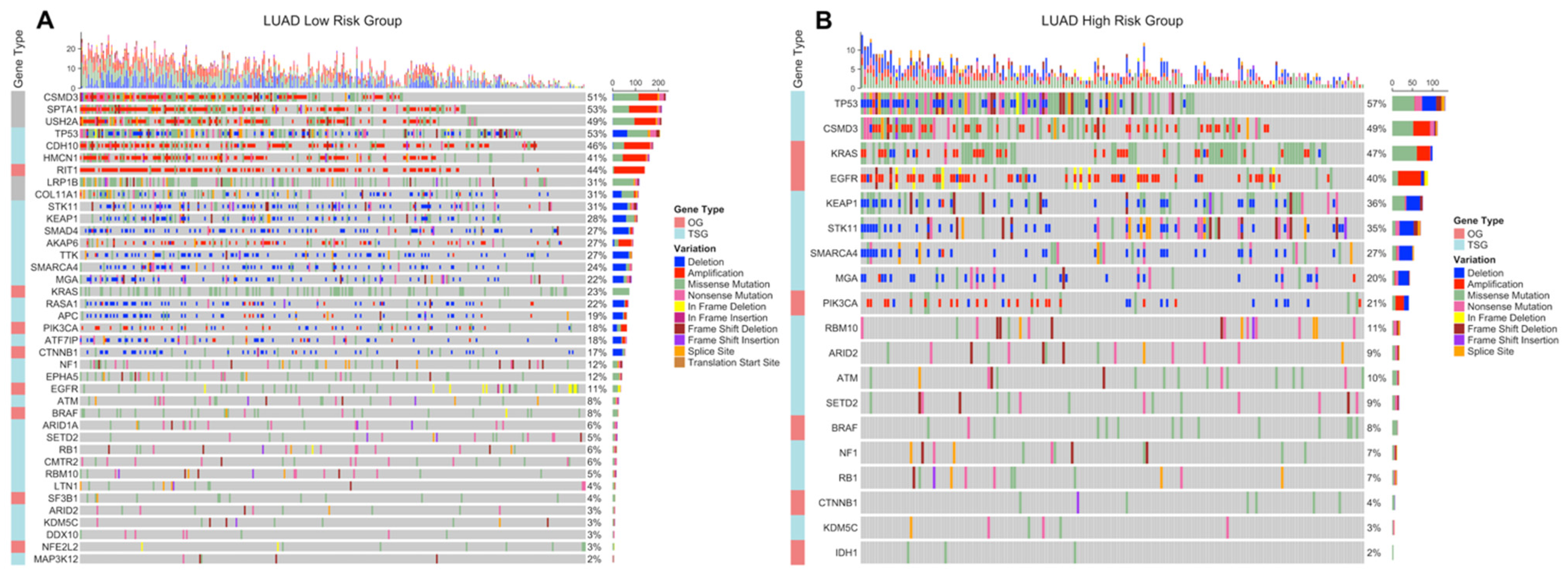Jpm 11 00154 g012 Jpm 11 00154 g012