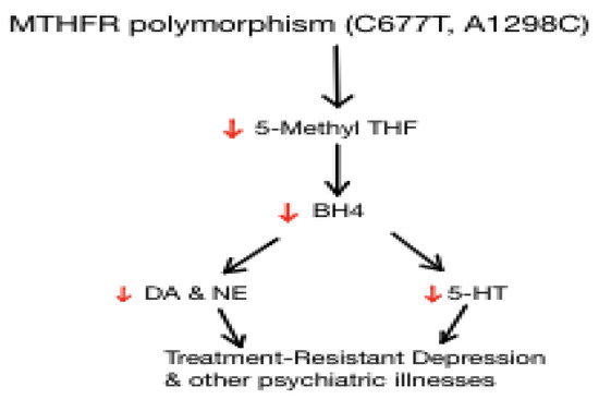 mtmr inhibitor mtmr inhibitor