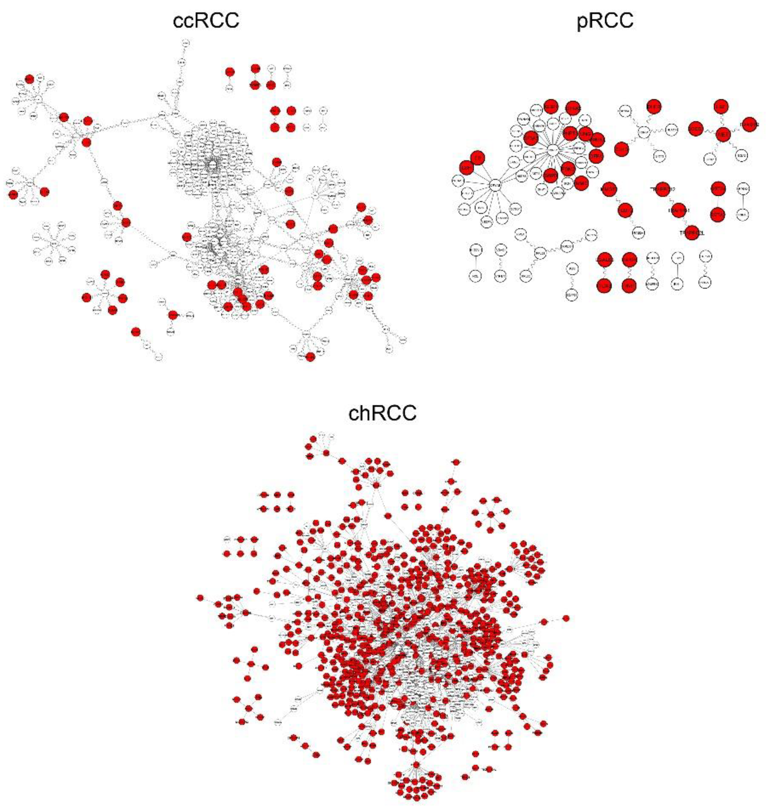Jpm 11 00158 g001 Jpm 11 00158 g001