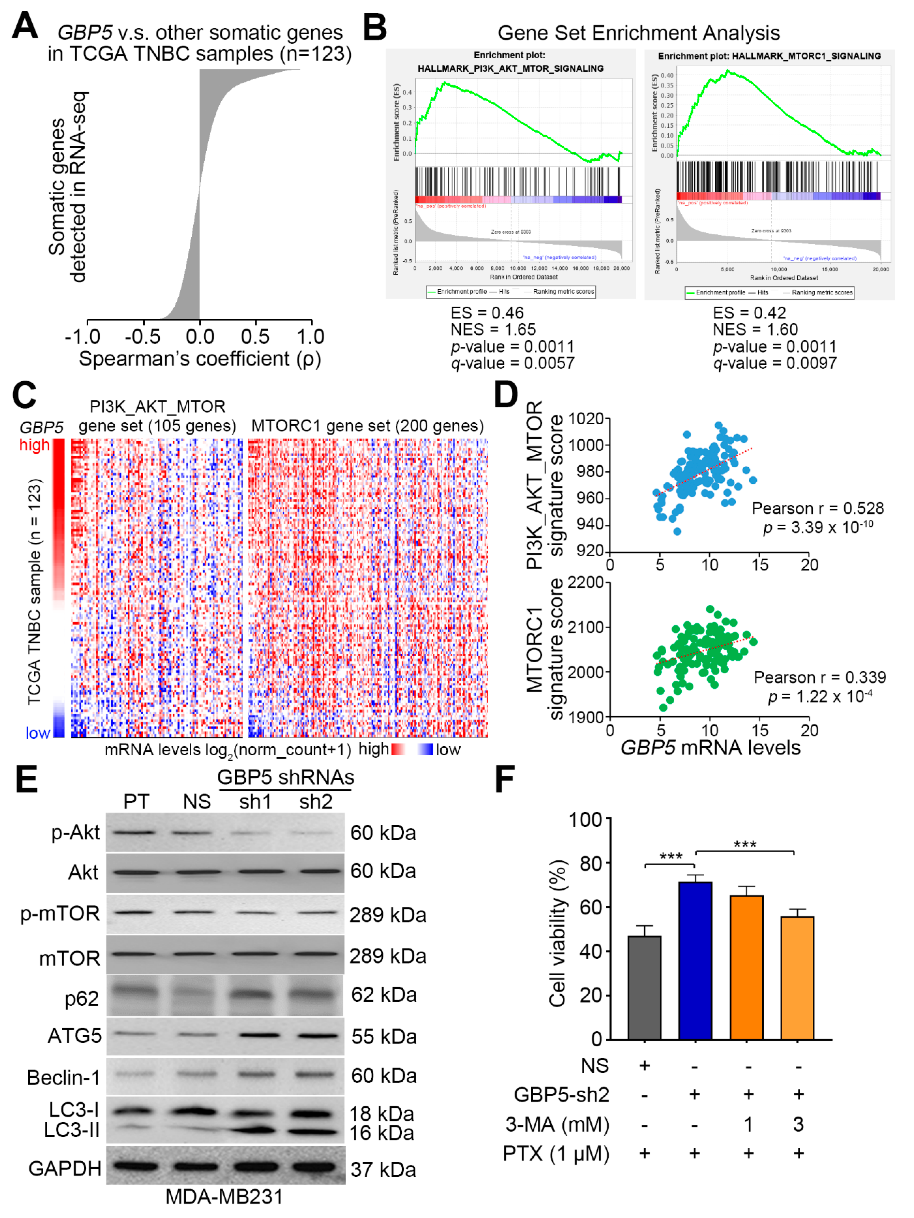 Jpm 11 00197 g005 Jpm 11 00197 g005