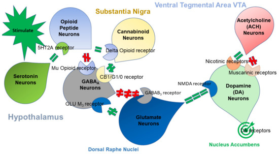 A Novel Precision Approach to Overcome the “Addiction Pandemic” by