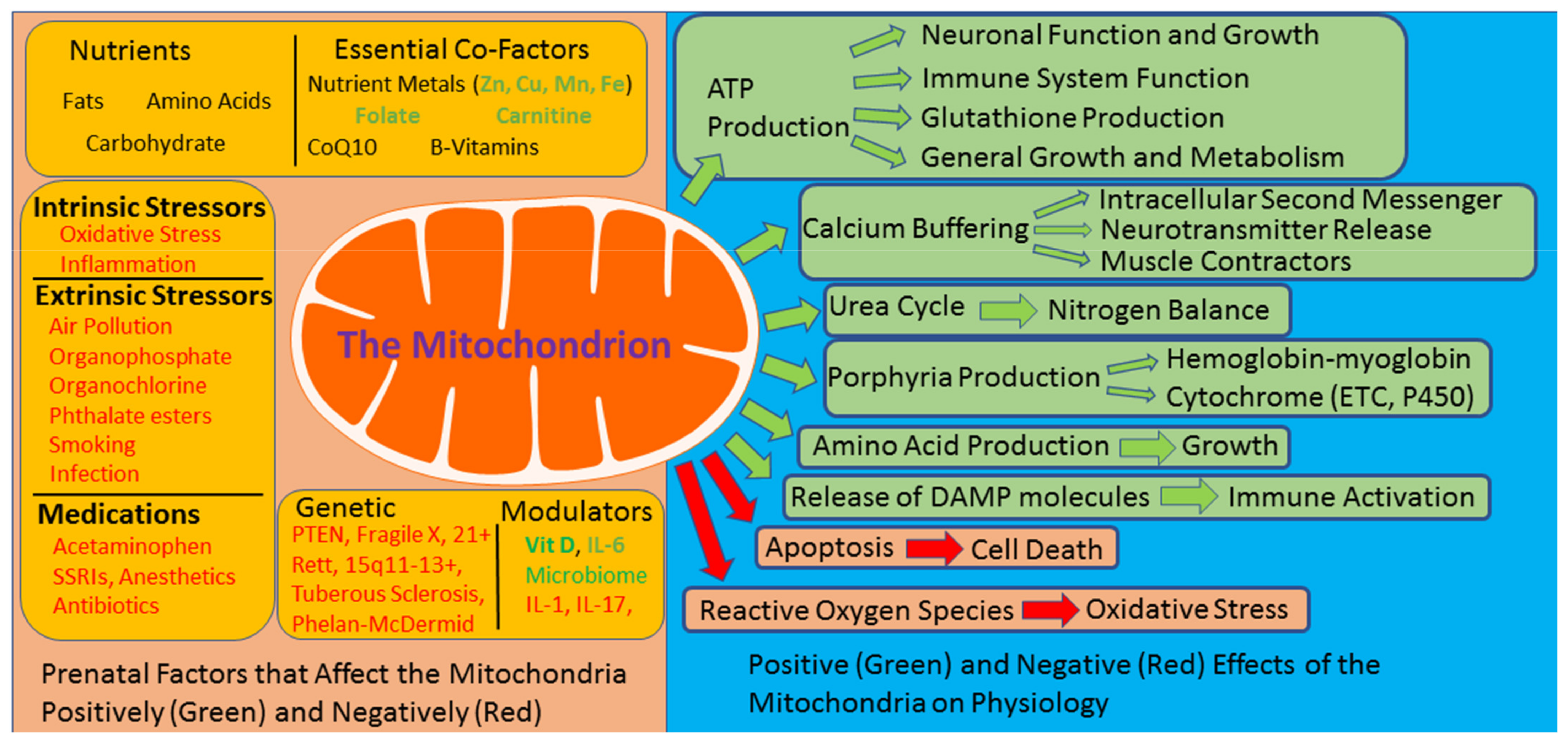 Jpm 11 00218 g001 Jpm 11 00218 g001