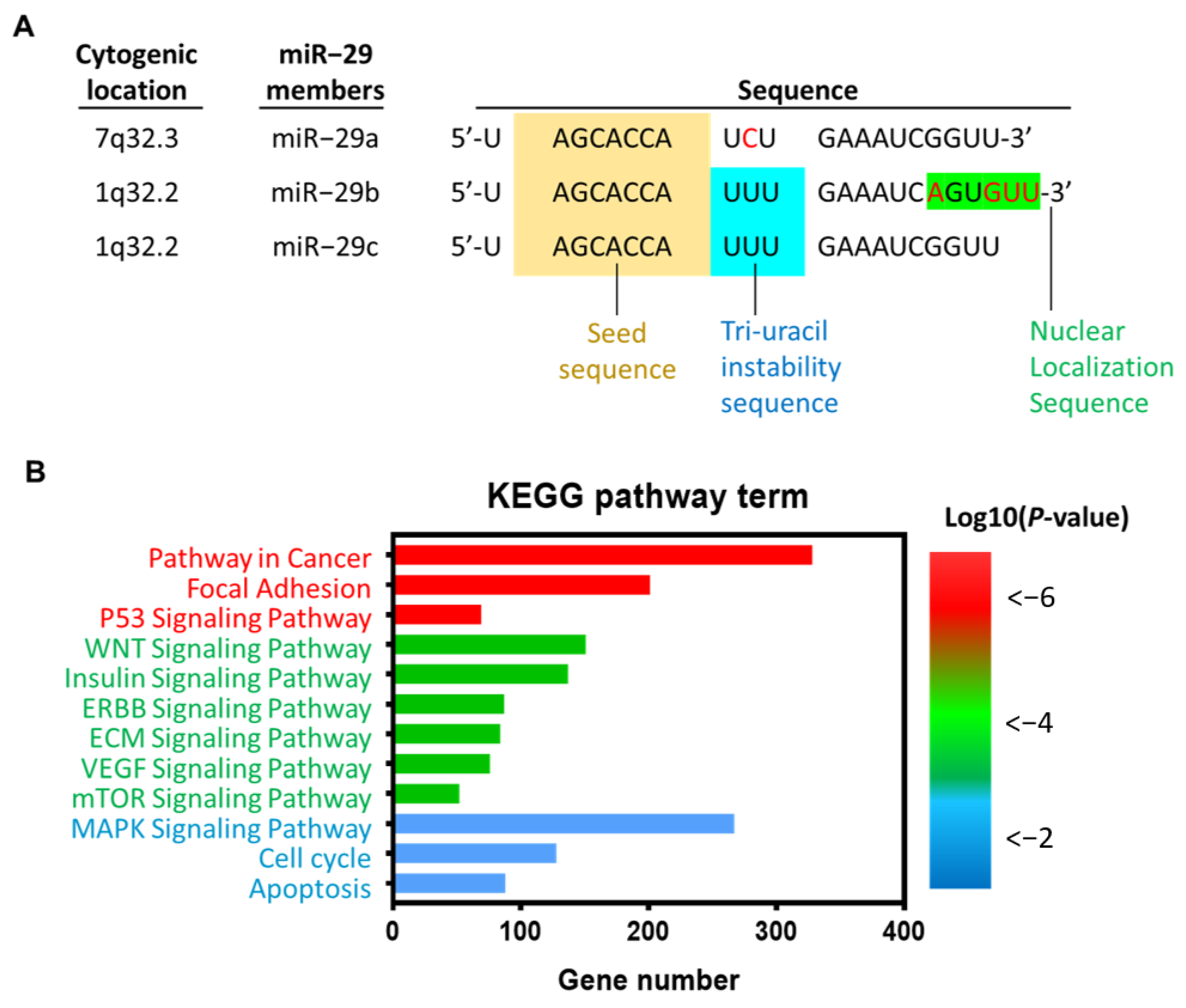 Jpm 11 00219 g001 Jpm 11 00219 g001