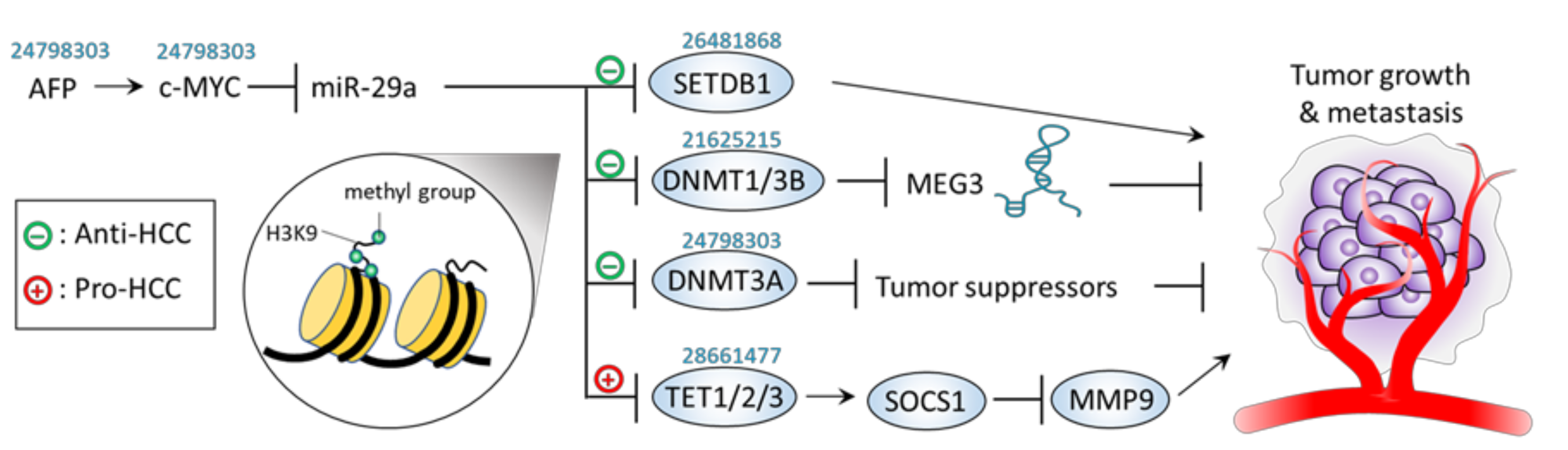 Jpm 11 00219 g003 Jpm 11 00219 g003
