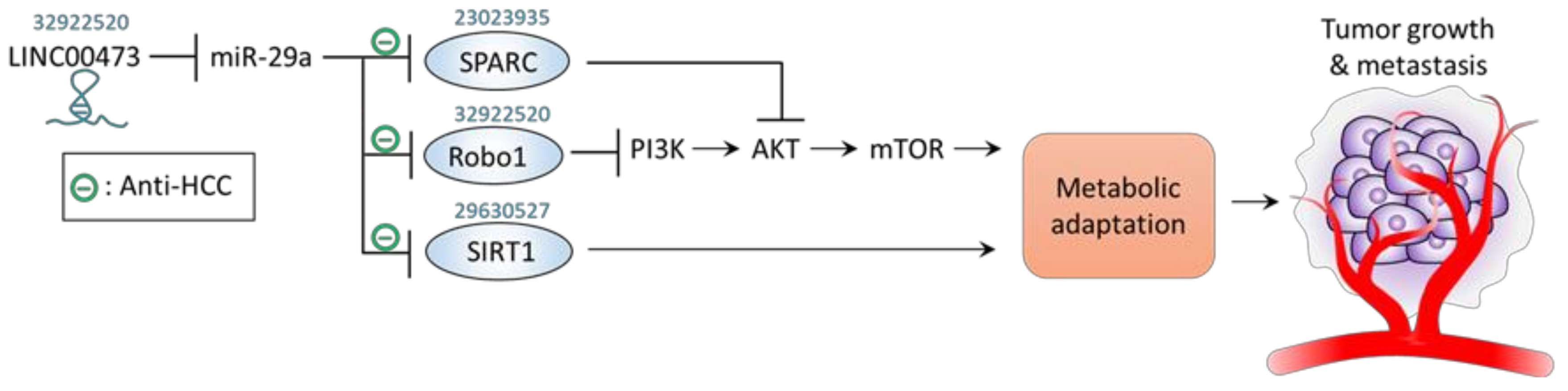 Jpm 11 00219 g004 Jpm 11 00219 g004