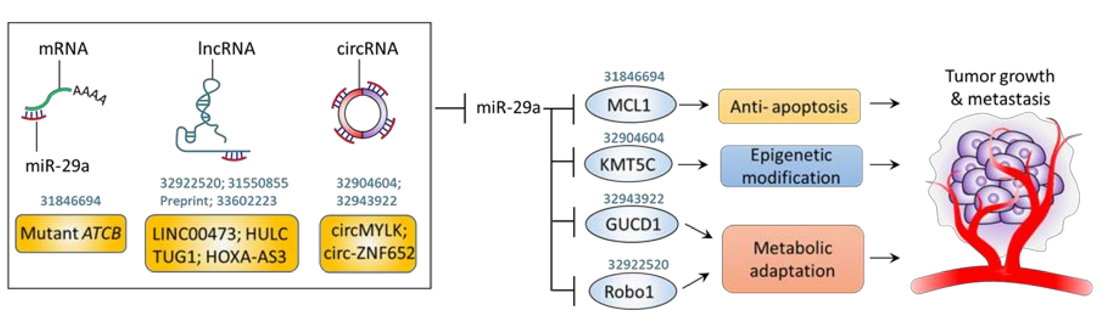 Jpm 11 00219 g005 Jpm 11 00219 g005