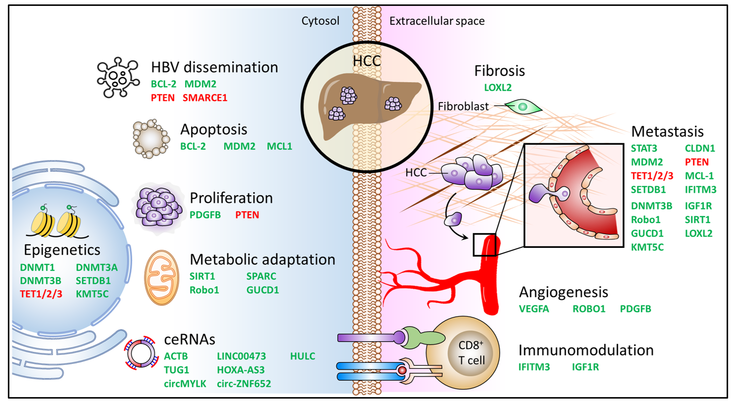 Jpm 11 00219 g007 Jpm 11 00219 g007