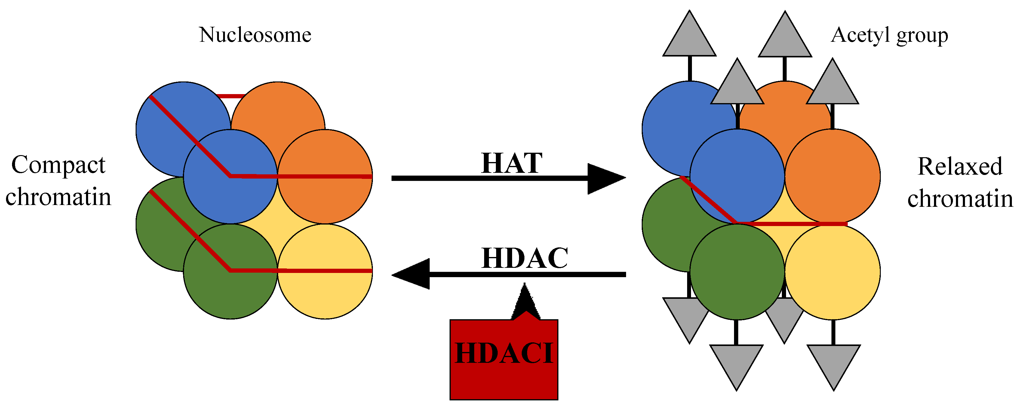 Jpm Free Full Text Histone Deacetylase Inhibitors In The Treatment Of Hepatocellular Carcinoma Current Evidence And Future Opportunities Html Jpm Free Full Text Histone Deacetylase Inhibitors In The Treatment Of Hepatocellular Carcinoma Current Evidence And Future Opportunities Html