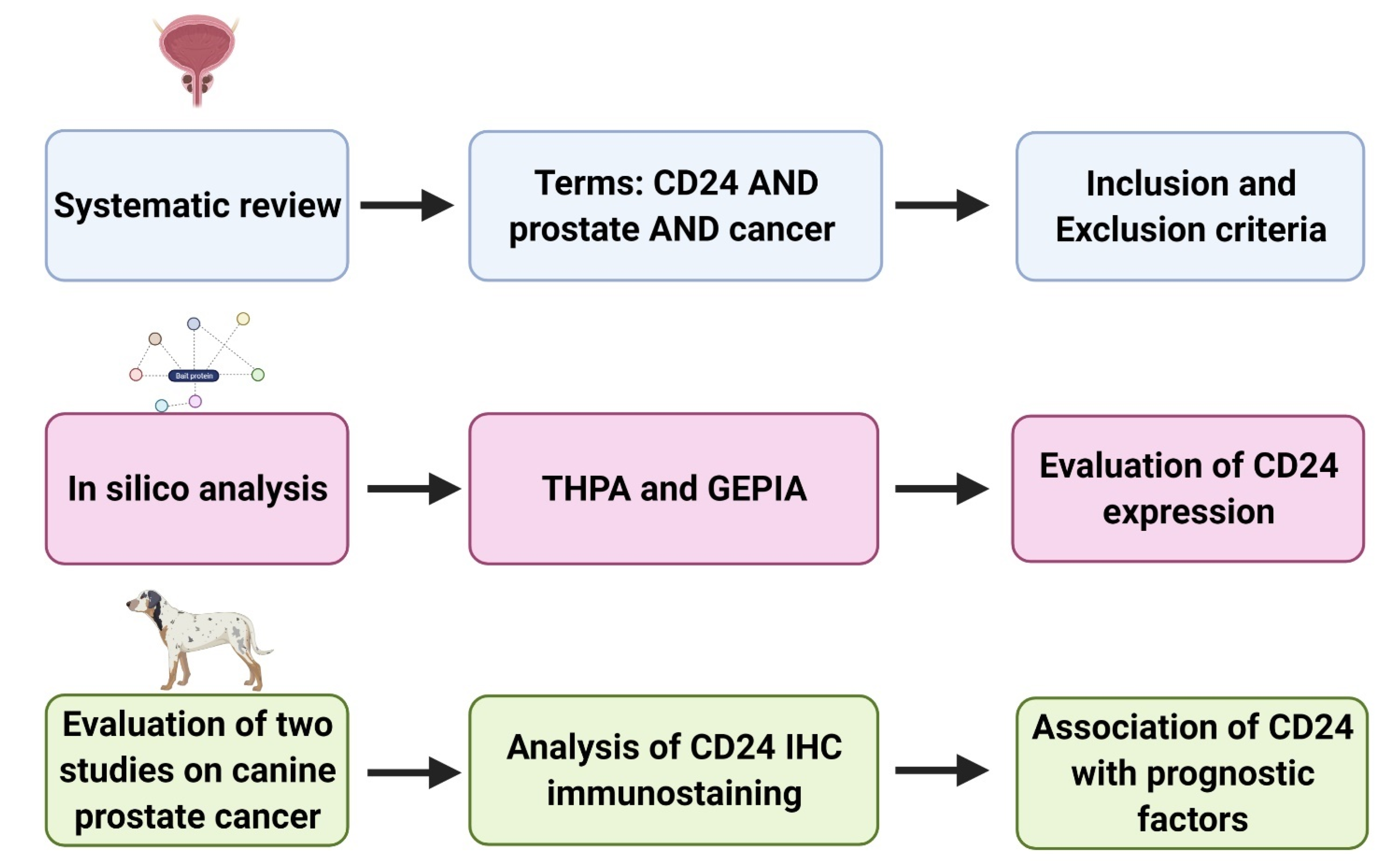 Jpm 11 00232 g001 Jpm 11 00232 g001