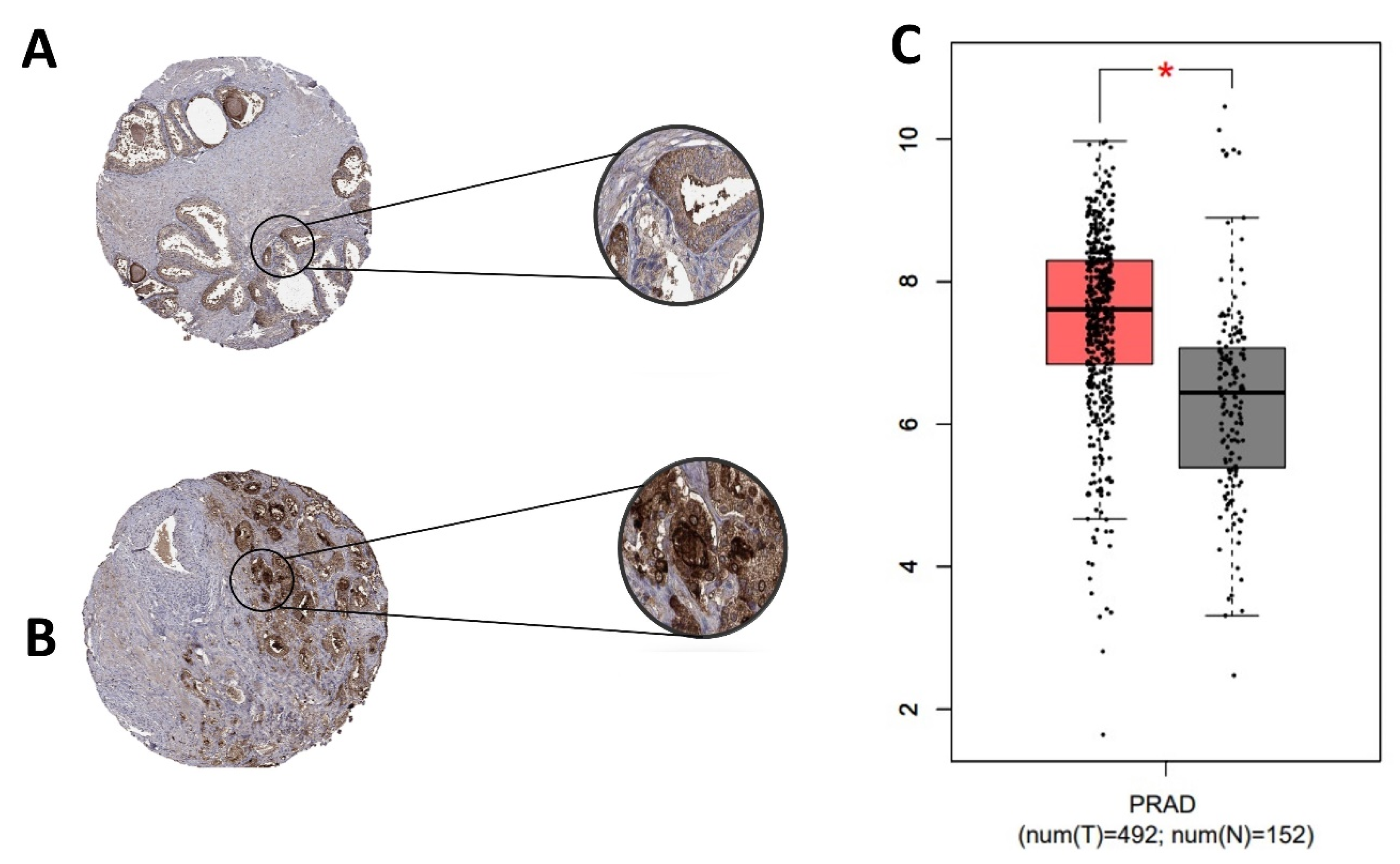 Jpm 11 00232 g002 Jpm 11 00232 g002