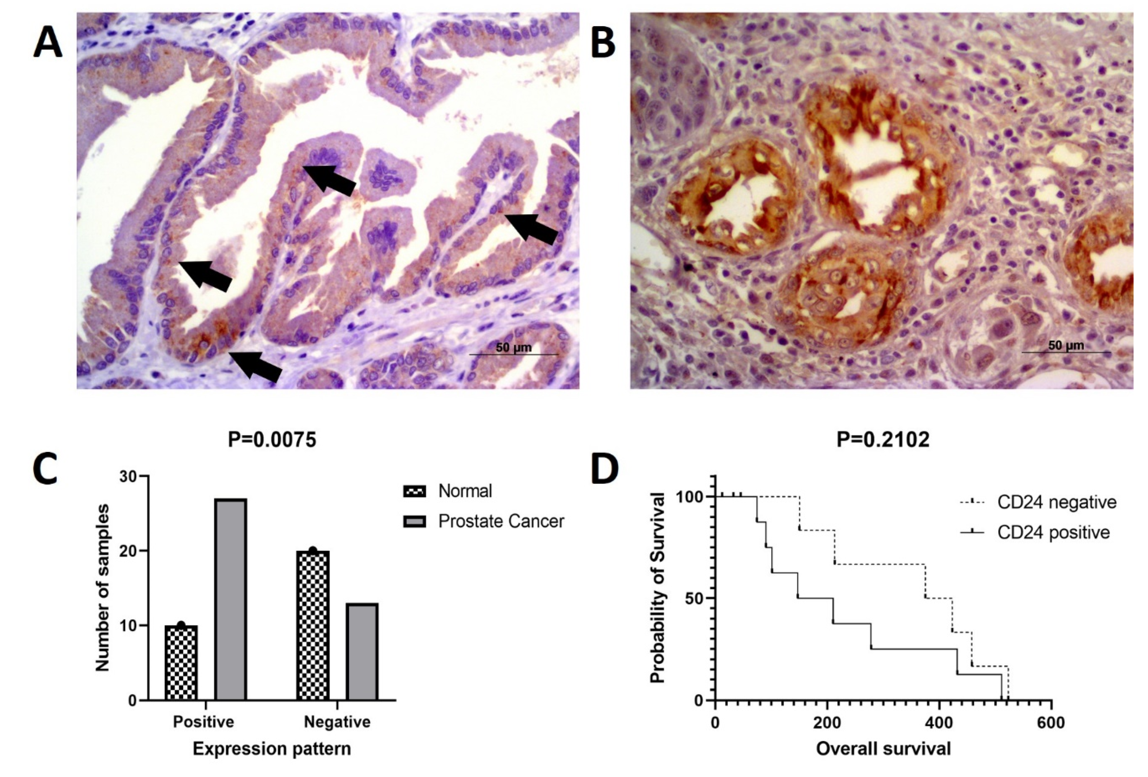 Jpm 11 00232 g005 Jpm 11 00232 g005