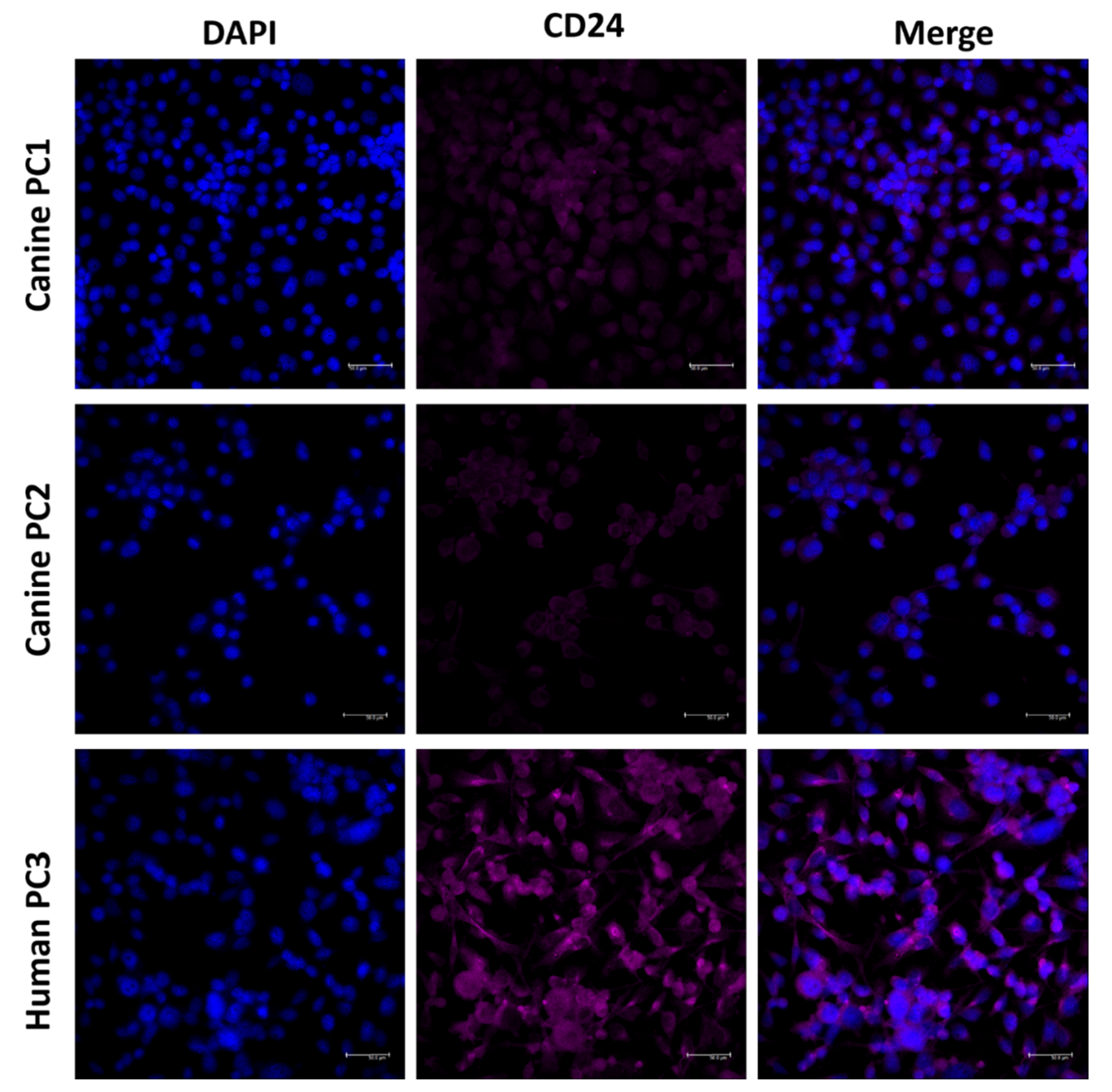 Jpm 11 00232 g007 Jpm 11 00232 g007