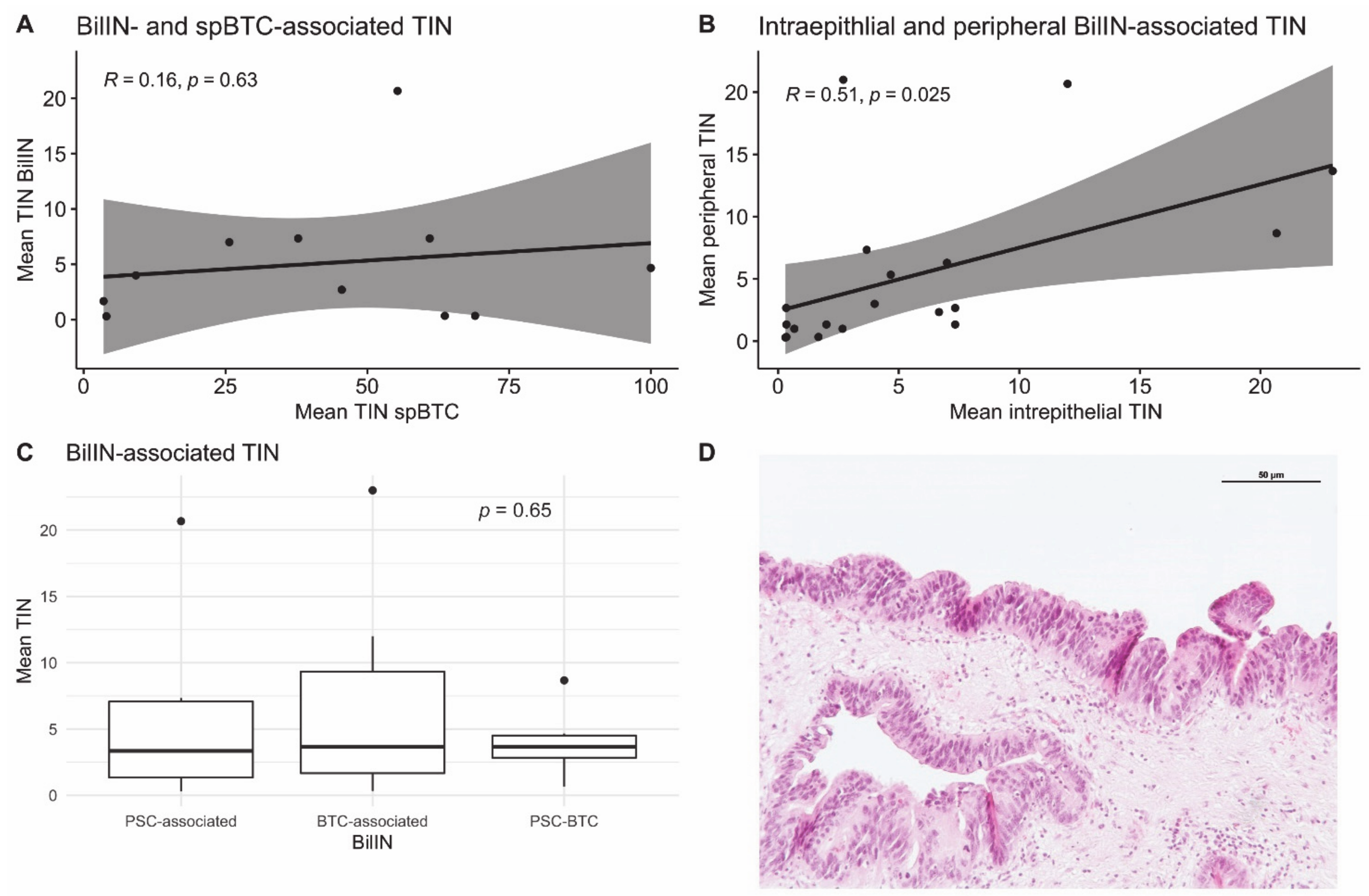 Jpm 11 00233 g003 Jpm 11 00233 g003