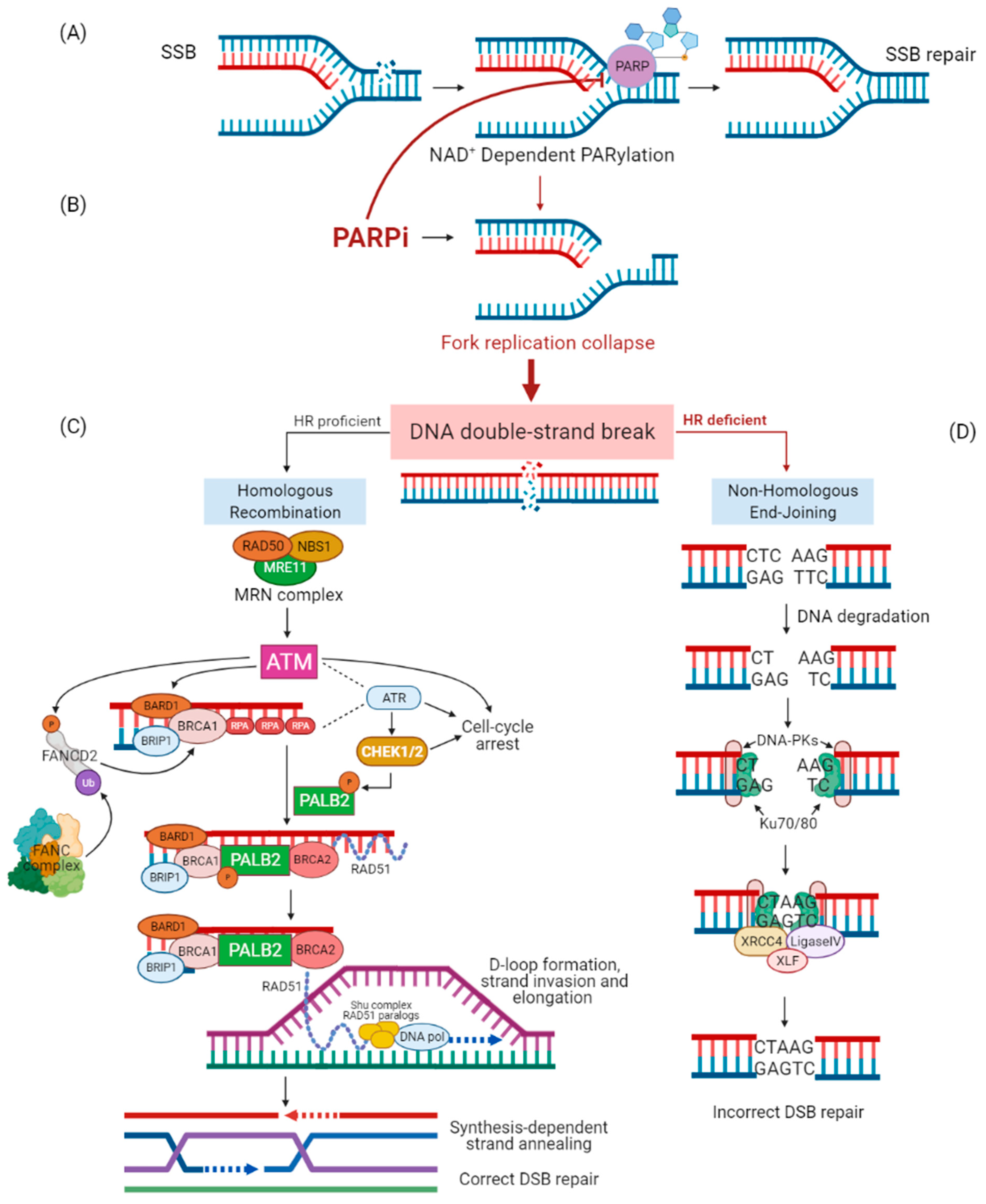 Jpm 11 00245 g001 Jpm 11 00245 g001