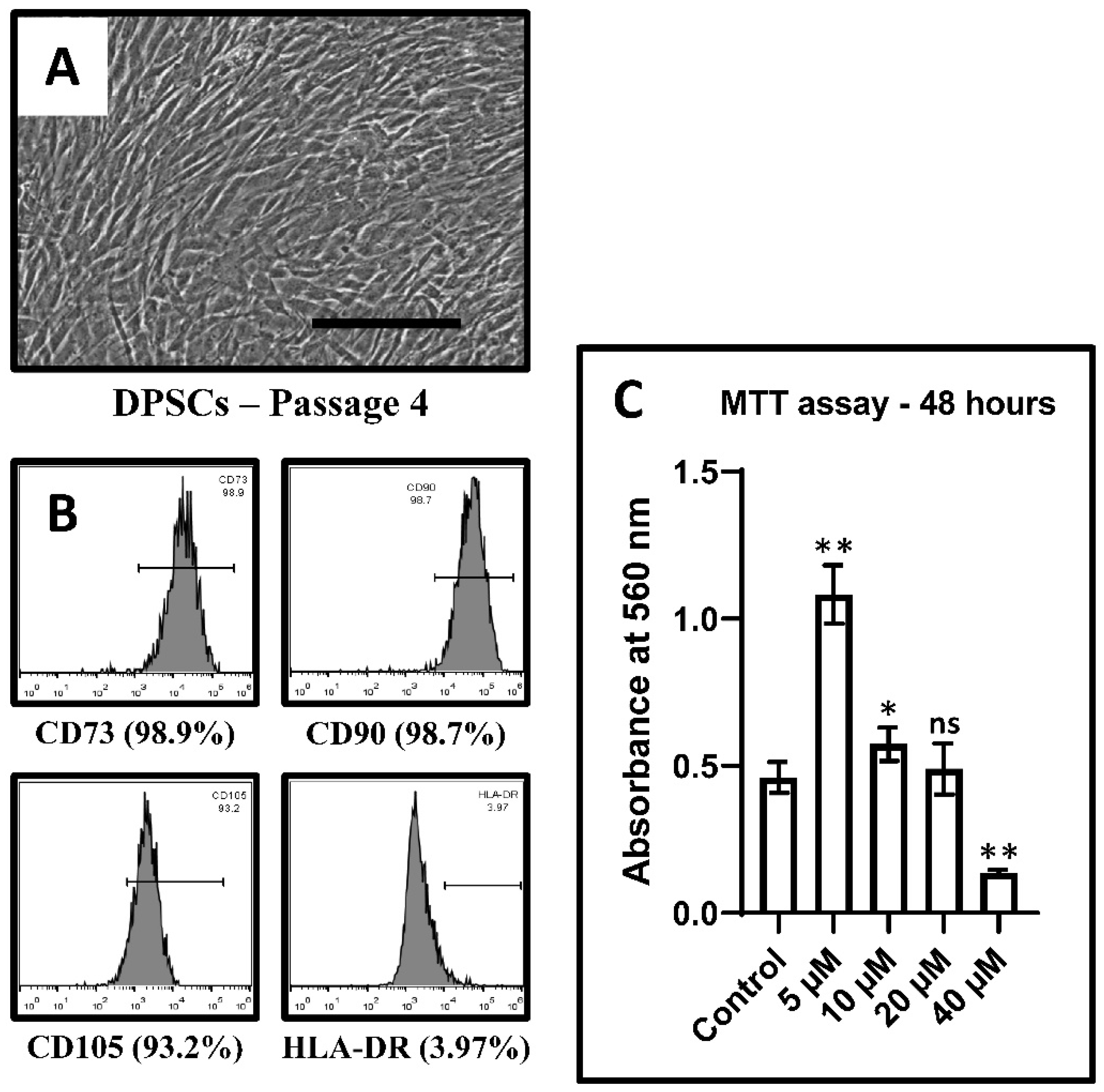 Jpm 11 00247 g001 Jpm 11 00247 g001