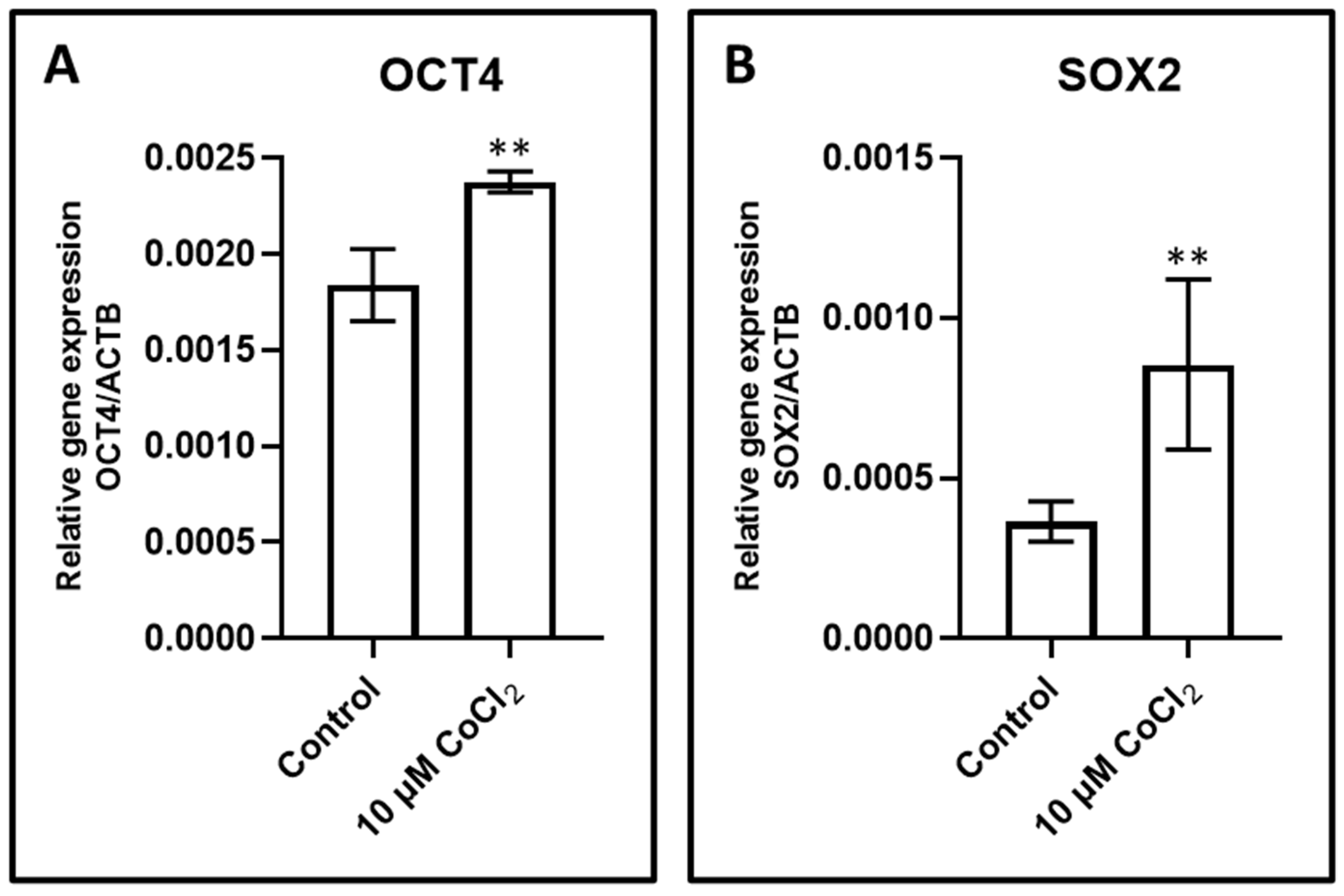 Jpm 11 00247 g004 Jpm 11 00247 g004