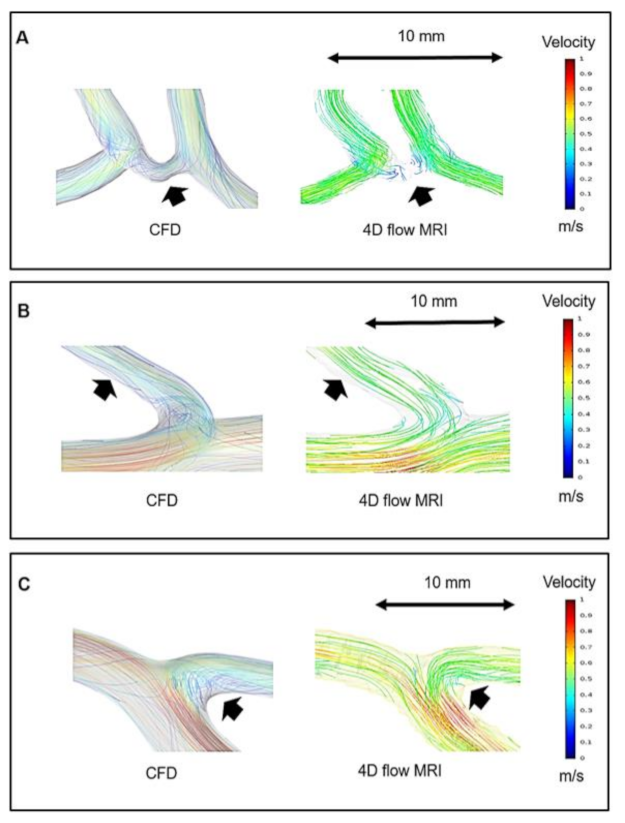 Jpm 11 00253 g003 Jpm 11 00253 g003