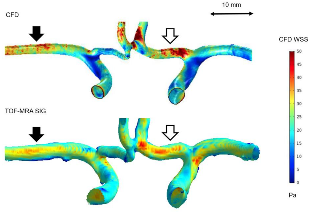 Jpm 11 00253 g004 Jpm 11 00253 g004