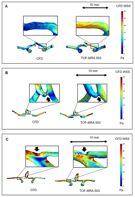 Jpm 11 00253 g005 Jpm 11 00253 g005