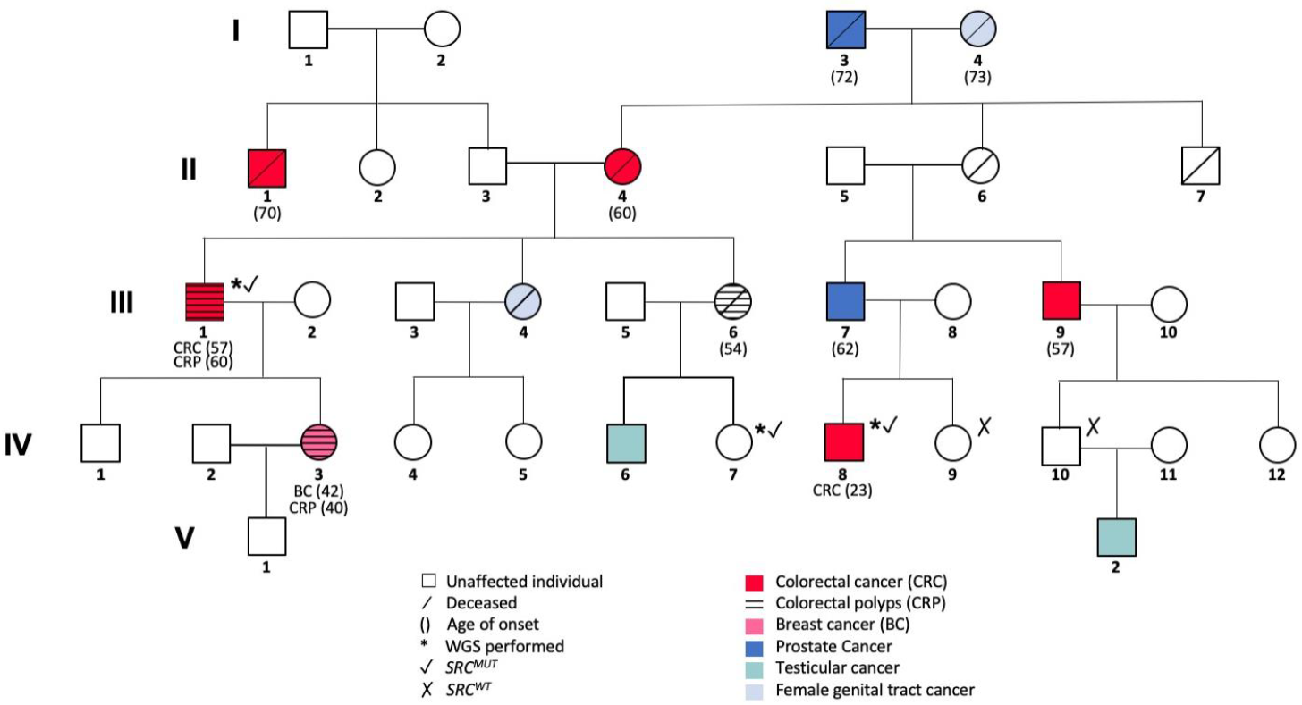 Jpm 11 00262 g001 Jpm 11 00262 g001
