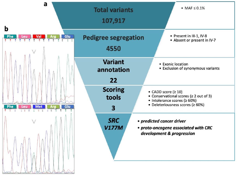 Jpm 11 00262 g002 Jpm 11 00262 g002