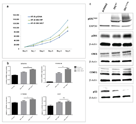 Jpm 11 00262 g004 Jpm 11 00262 g004