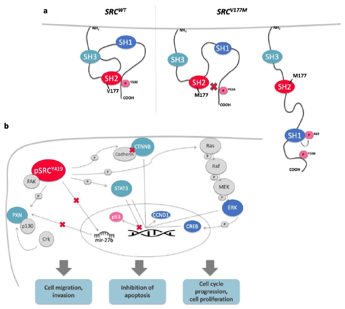 Jpm 11 00262 g005 Jpm 11 00262 g005