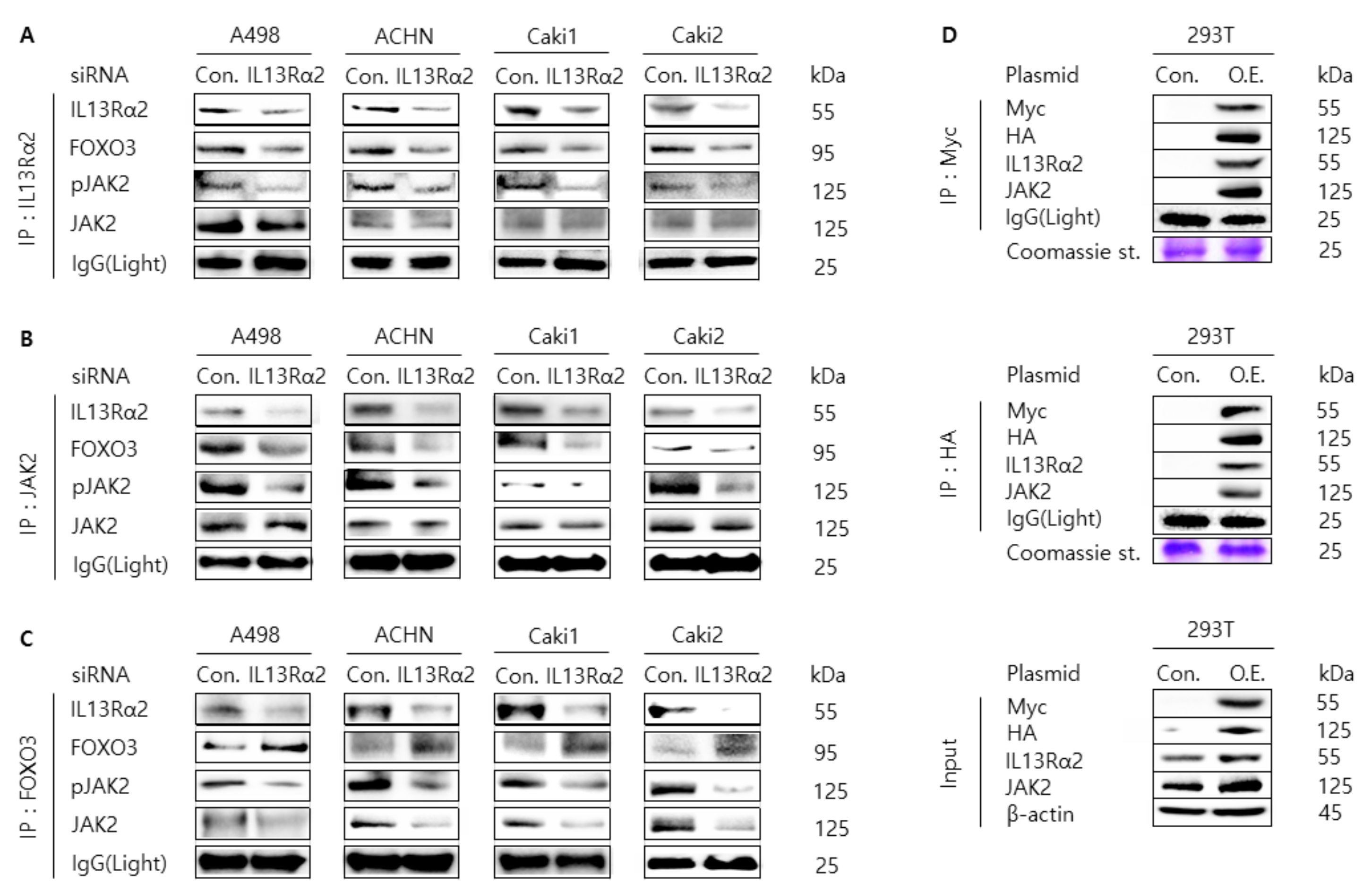 Jpm 11 00284 g004 Jpm 11 00284 g004