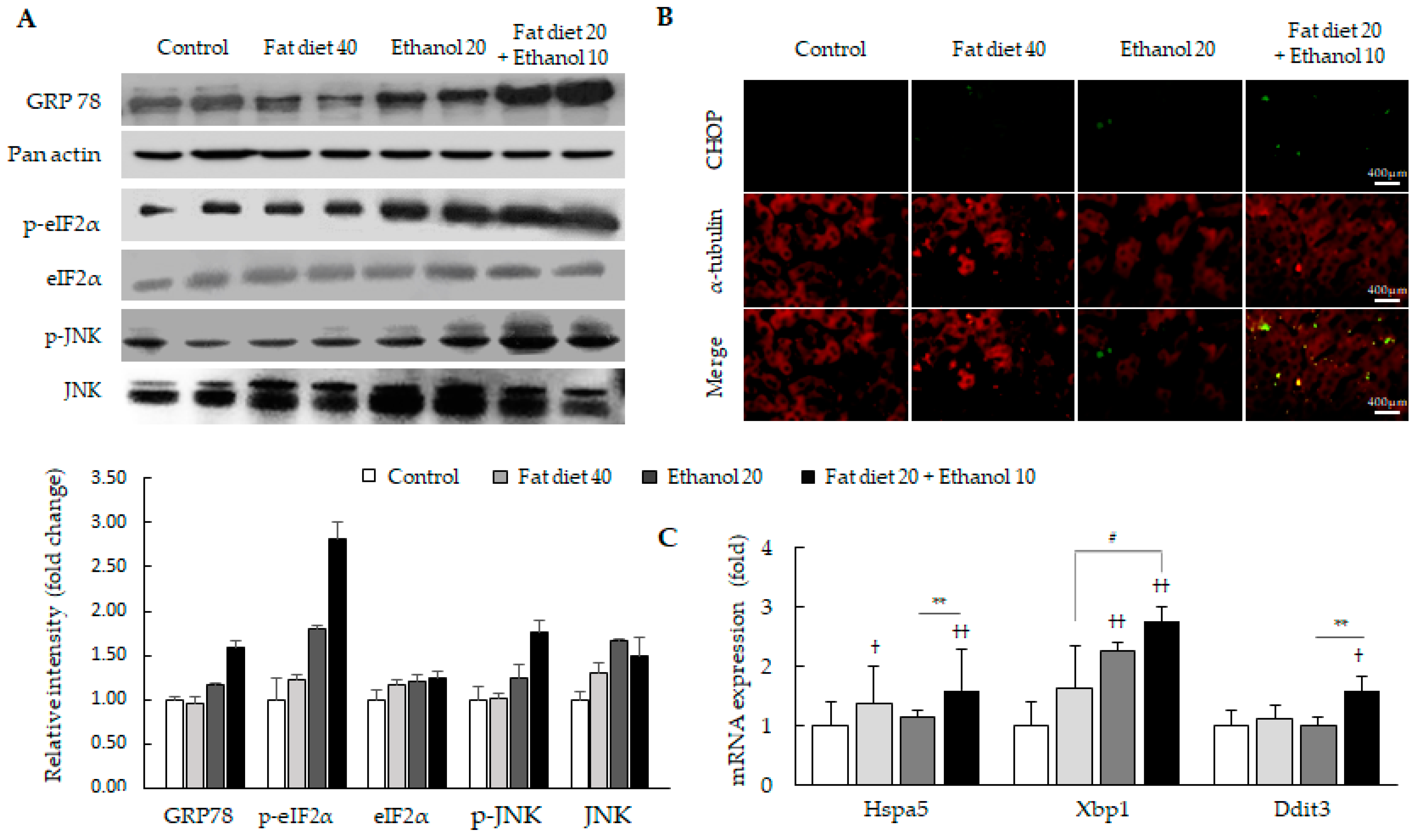 Jpm 11 00287 g003 Jpm 11 00287 g003