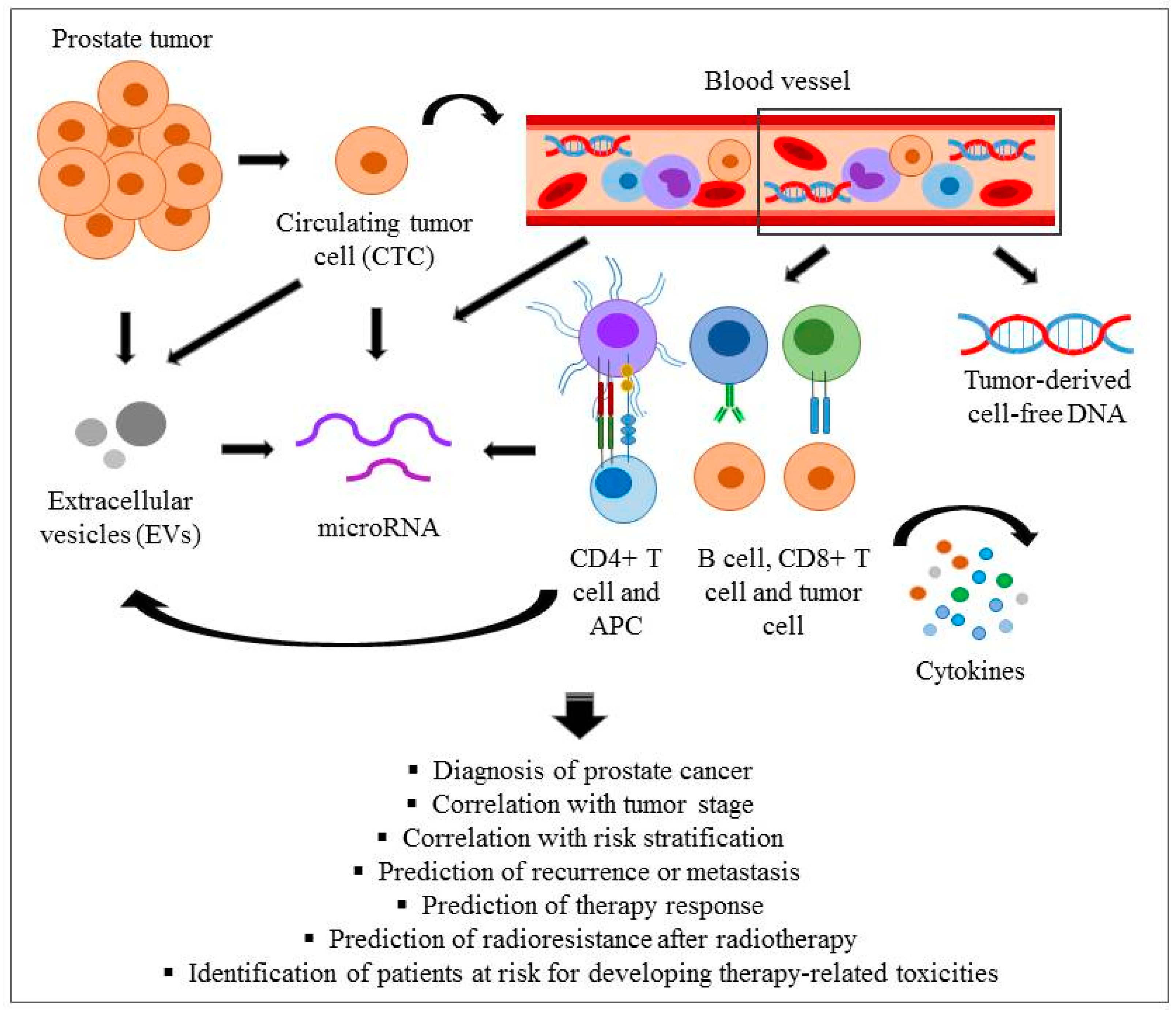 prostate stage fibrosis antibiotikumok modern prosztatitis