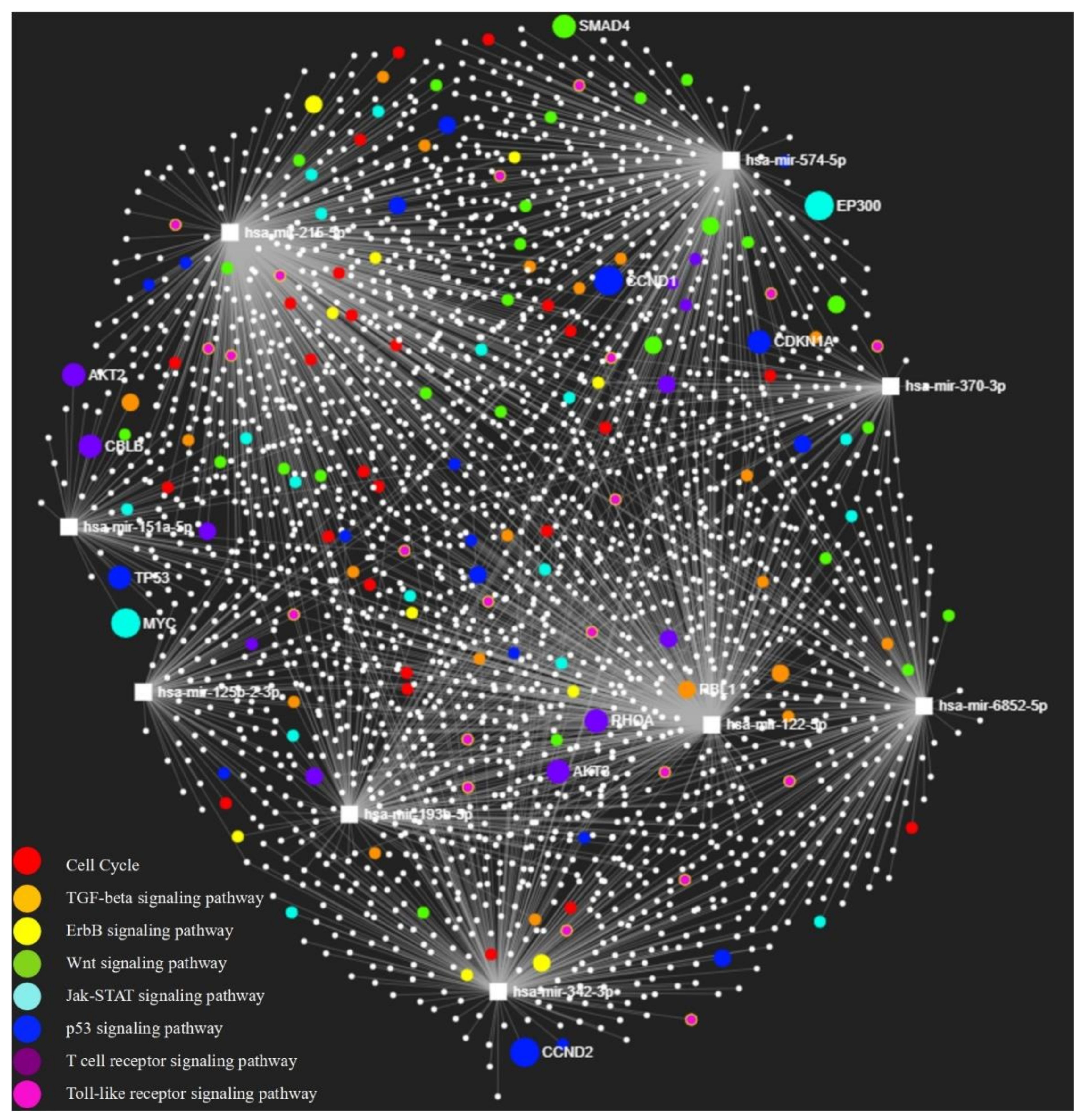 Jpm 11 00307 g002 Jpm 11 00307 g002
