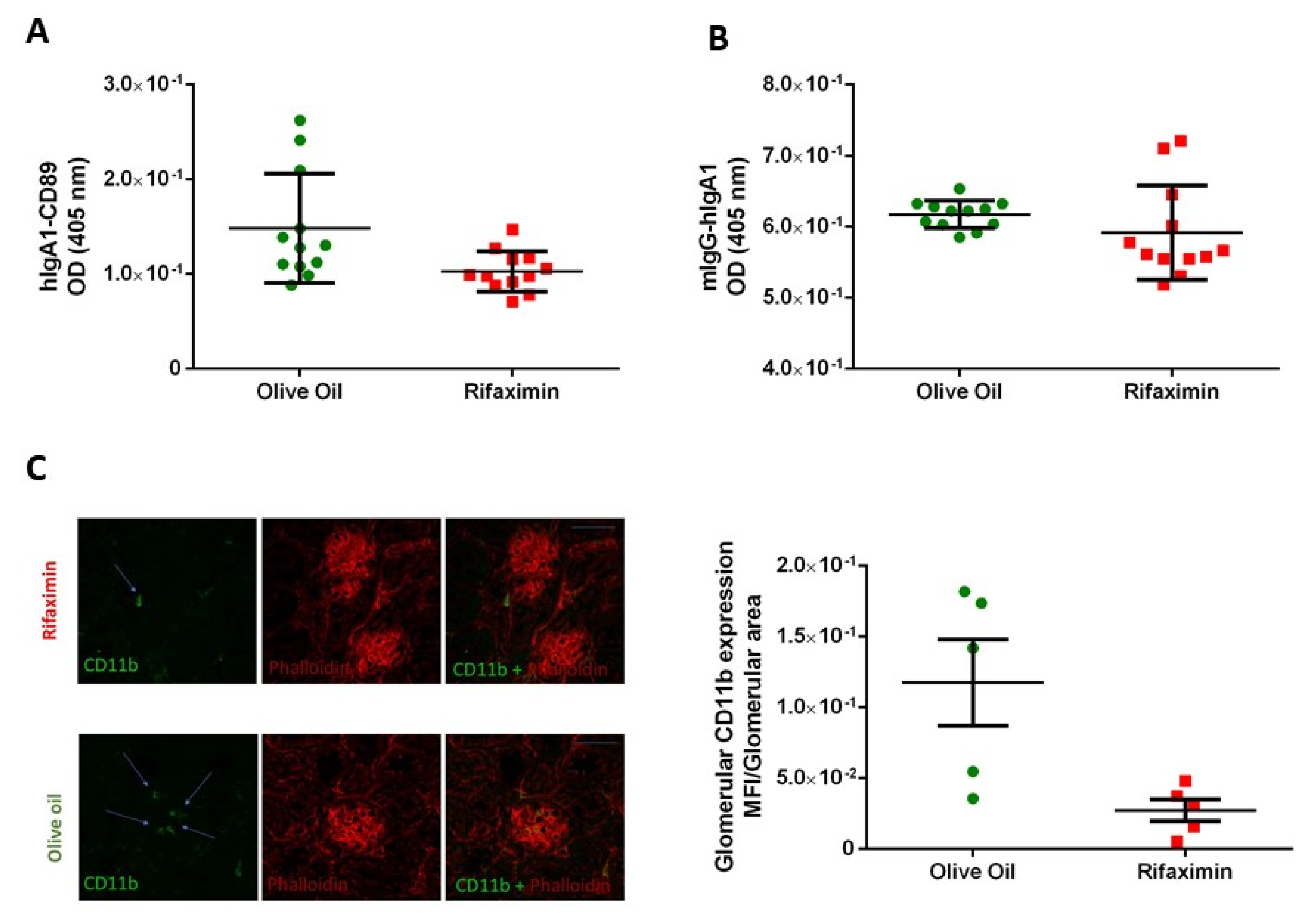 Jpm 11 00309 g002 Jpm 11 00309 g002