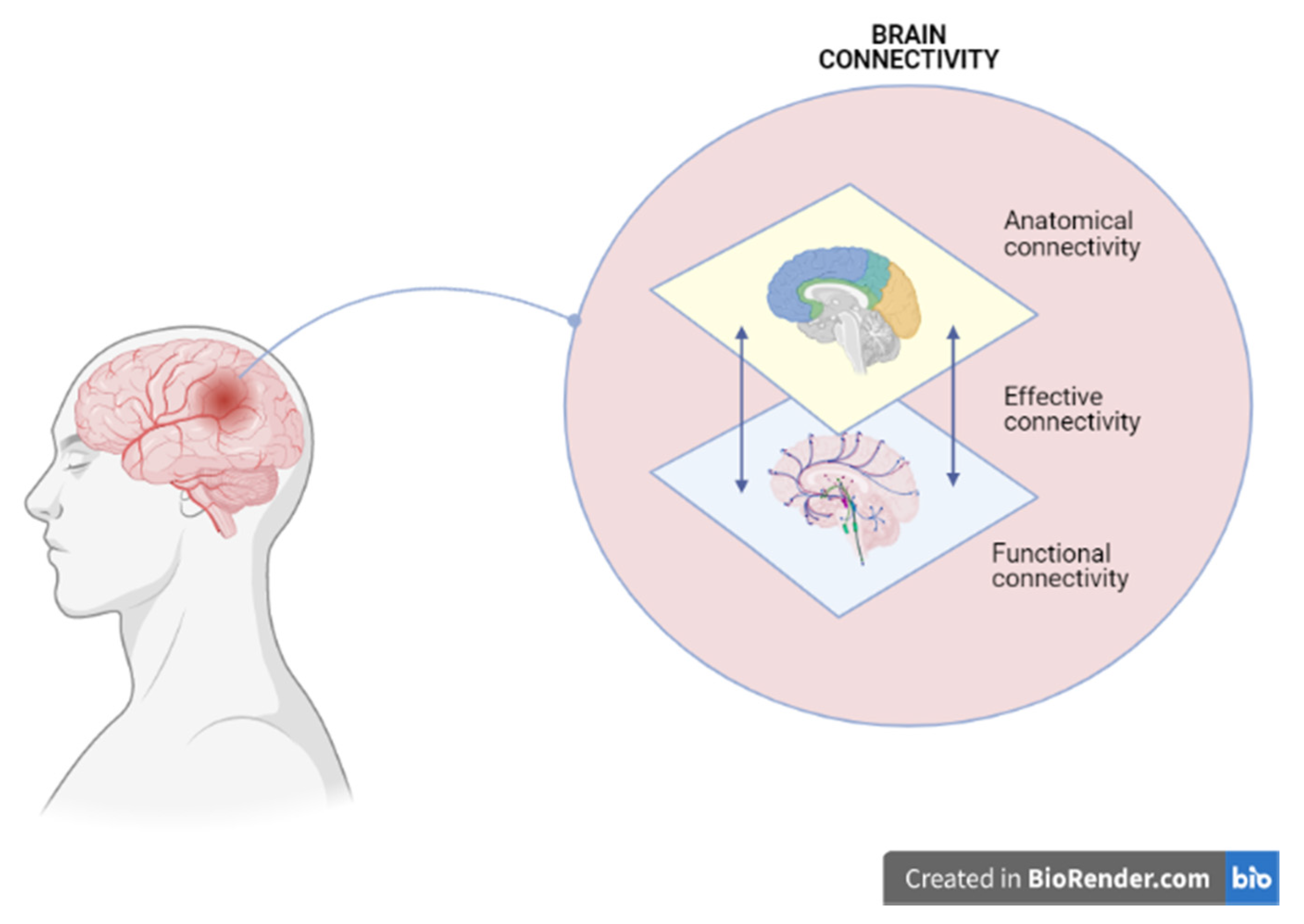 Jpm 11 00311 g002 Jpm 11 00311 g002