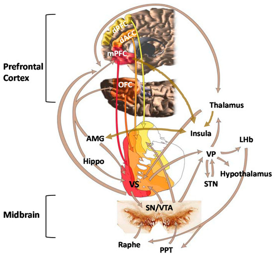 Jpm Free Full Text Early Life Stress And Risks For Opioid Misuse Review Of Data Supporting Neurobiological Underpinnings Html Jpm Free Full Text Early Life Stress And Risks For Opioid Misuse Review Of Data Supporting Neurobiological Underpinnings Html