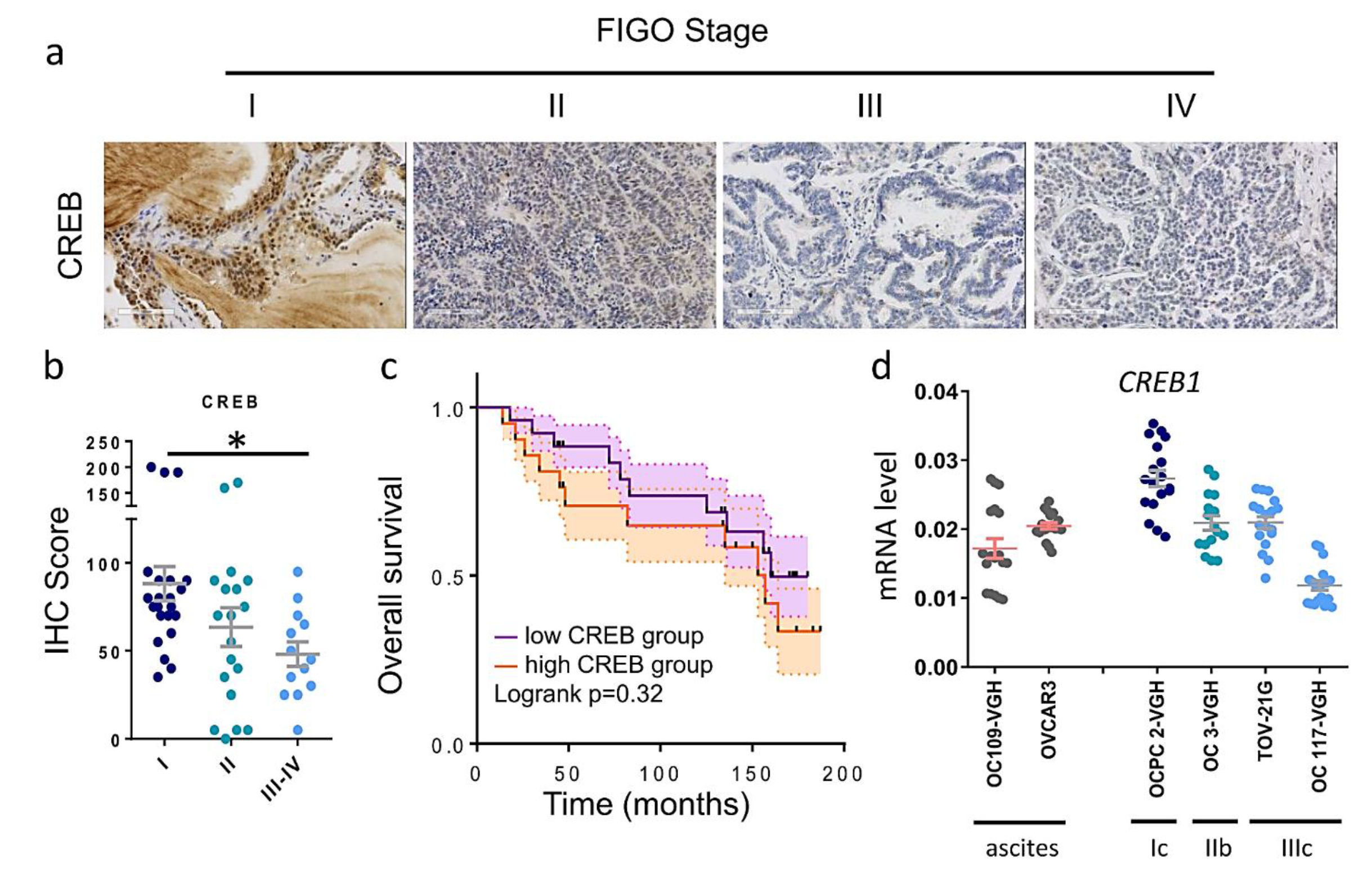 Jpm 11 00316 g004 550