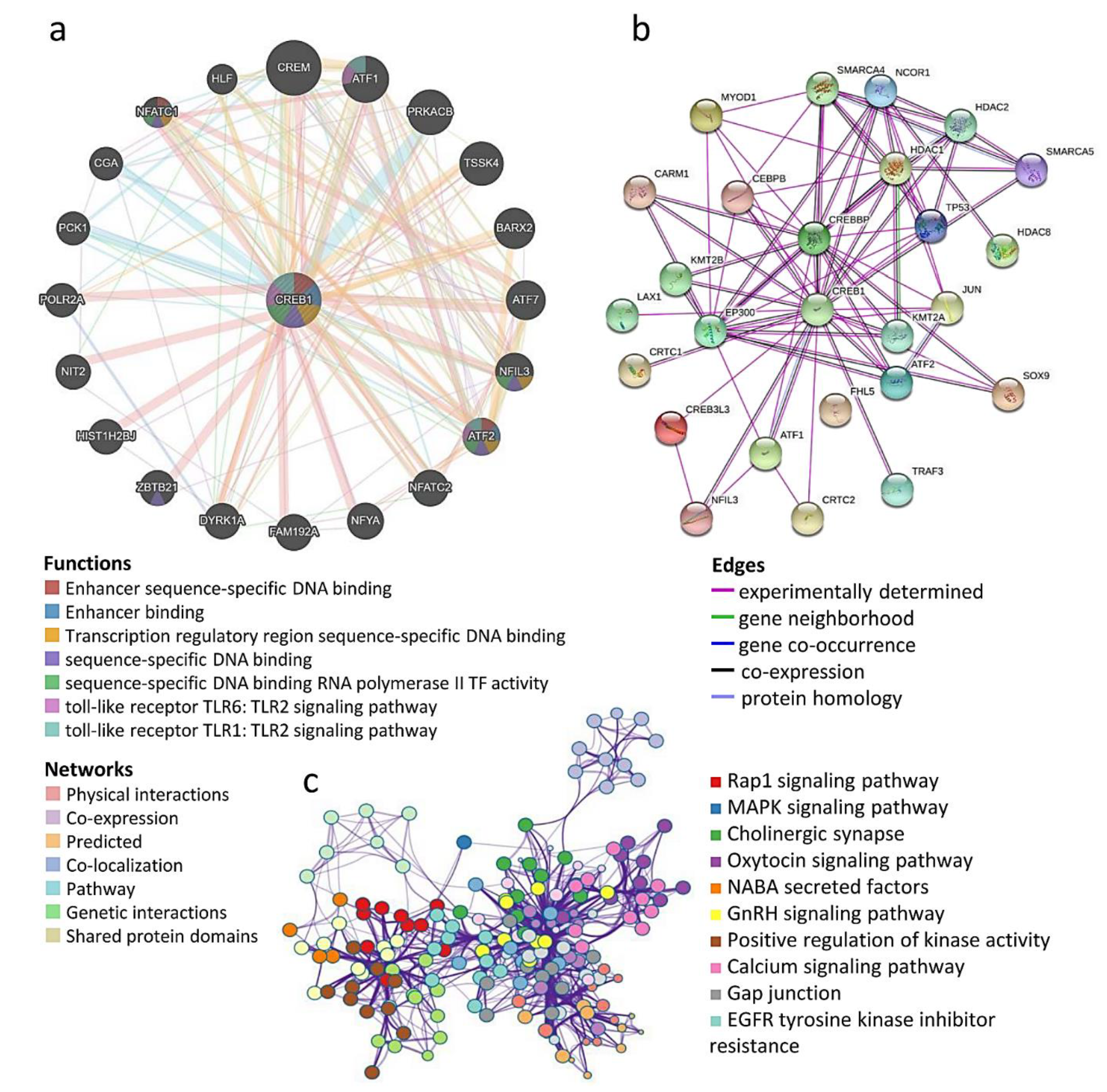 Jpm 11 00316 g005 550