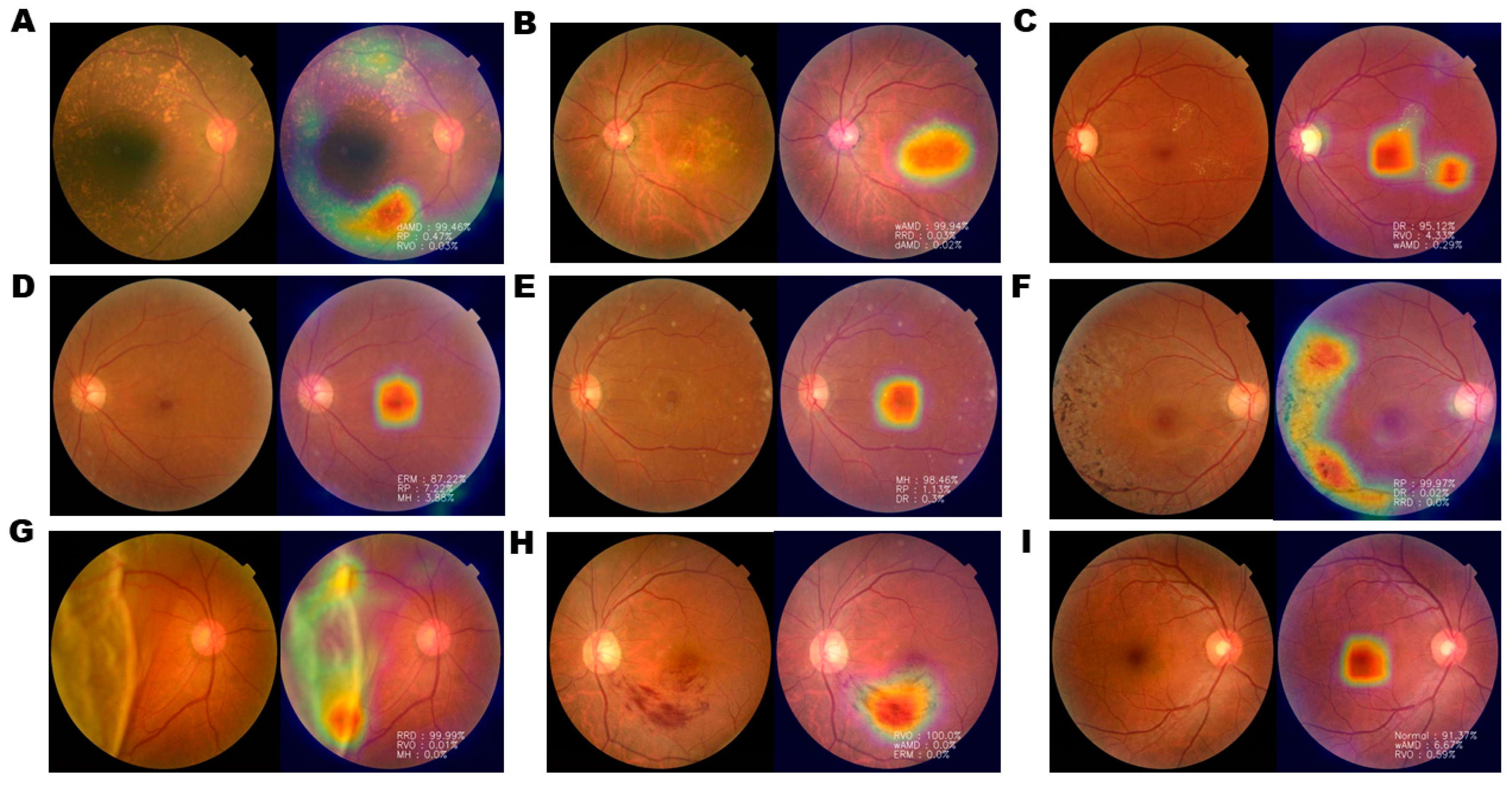 Jpm 11 00321 g002 Jpm 11 00321 g002