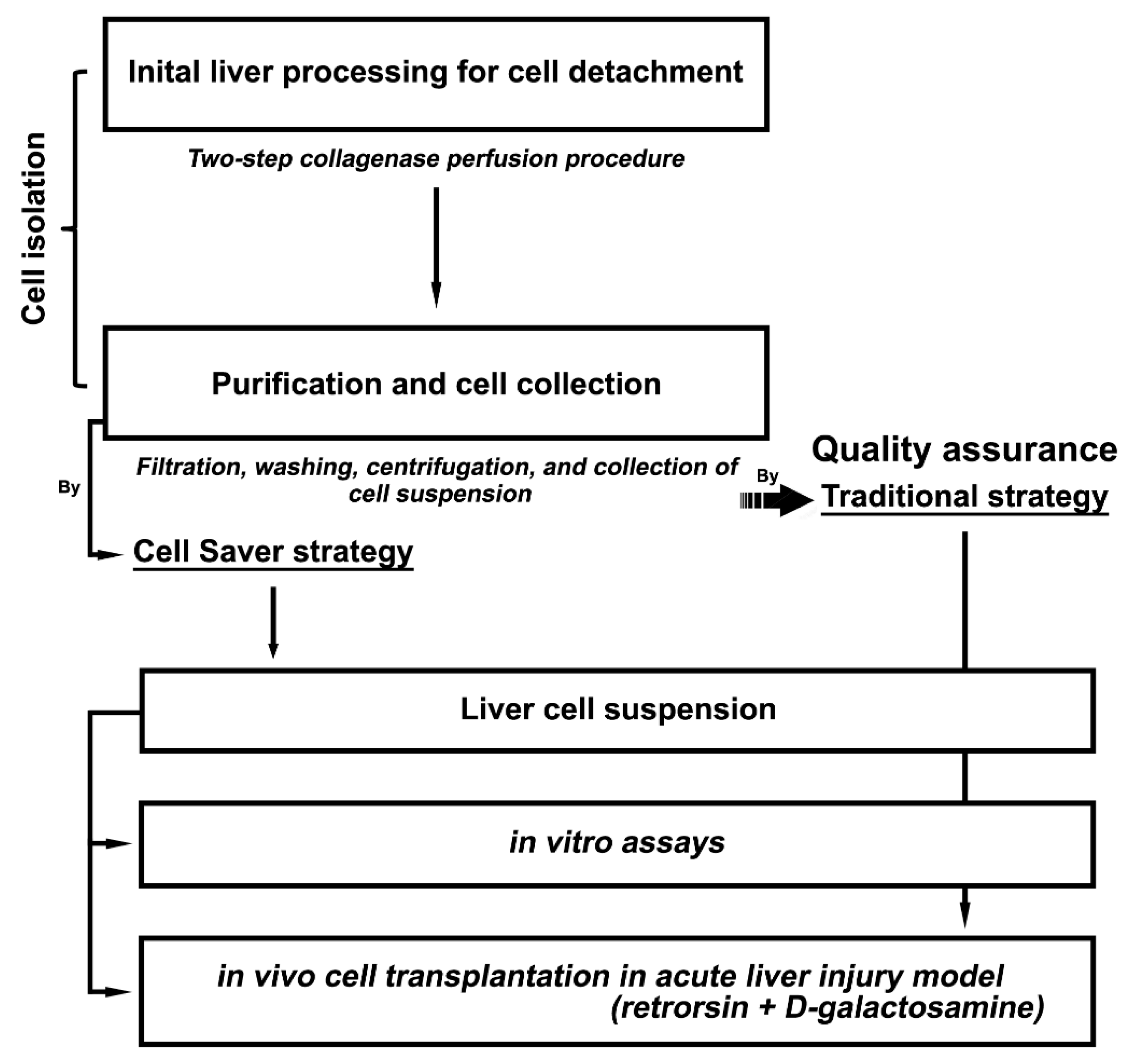 Jpm 11 00326 g001 Jpm 11 00326 g001