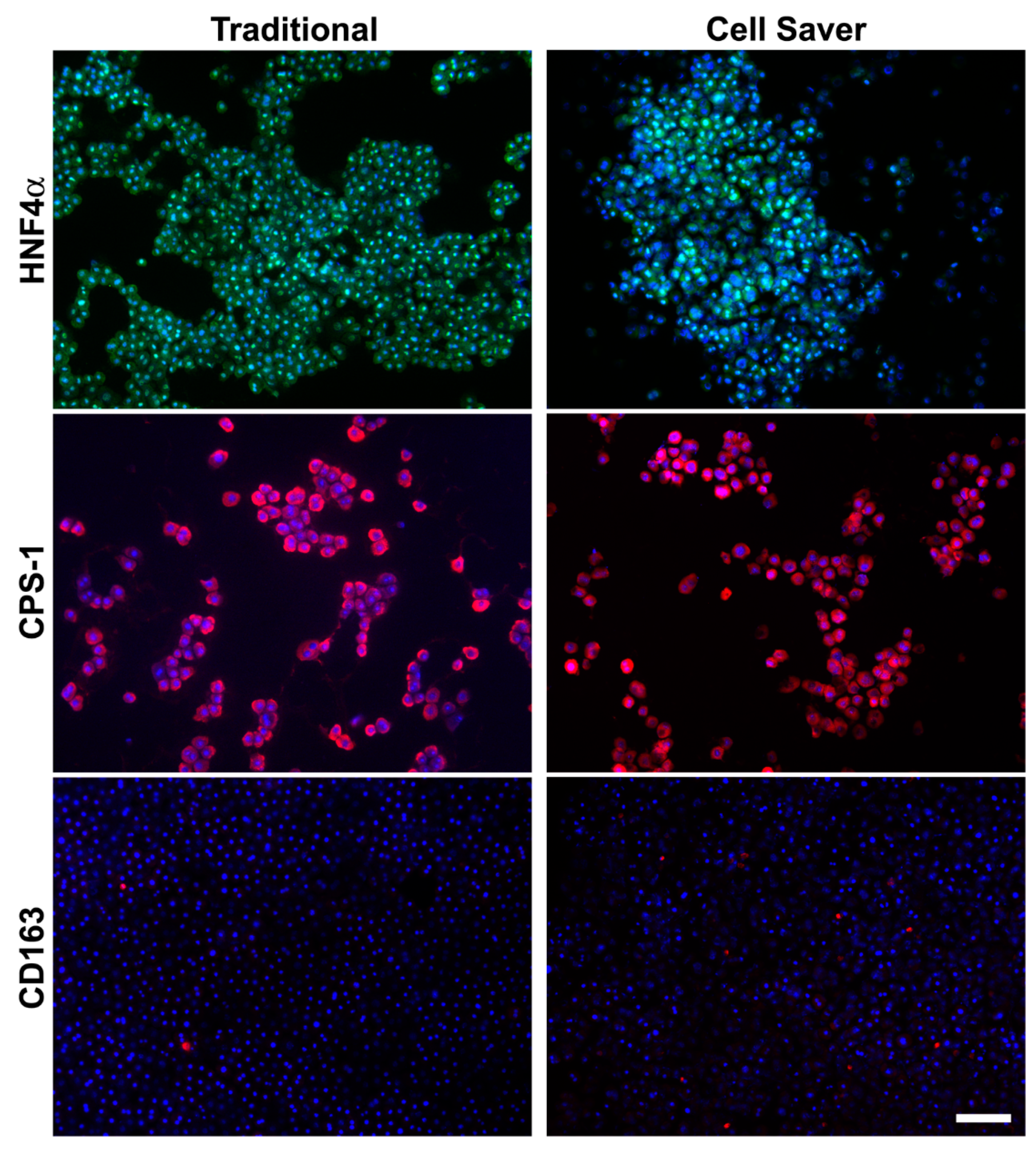 Jpm 11 00326 g003 Jpm 11 00326 g003