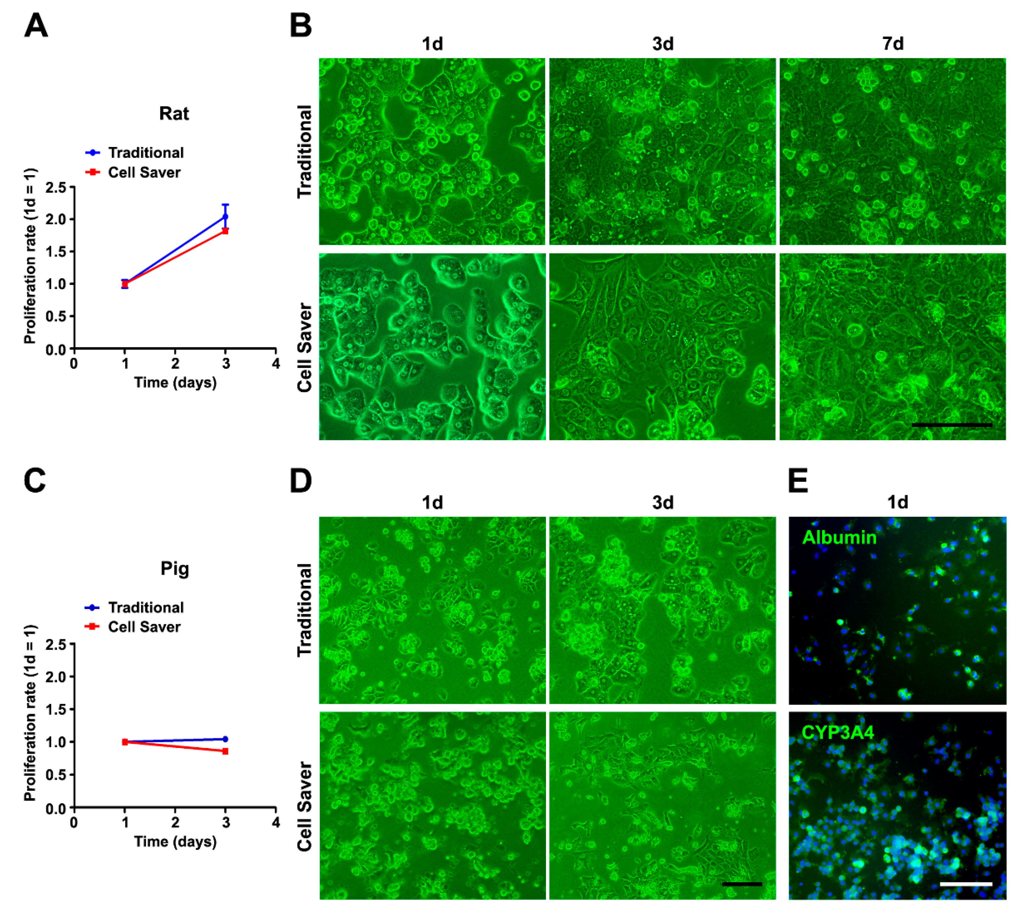 Jpm 11 00326 g004 Jpm 11 00326 g004