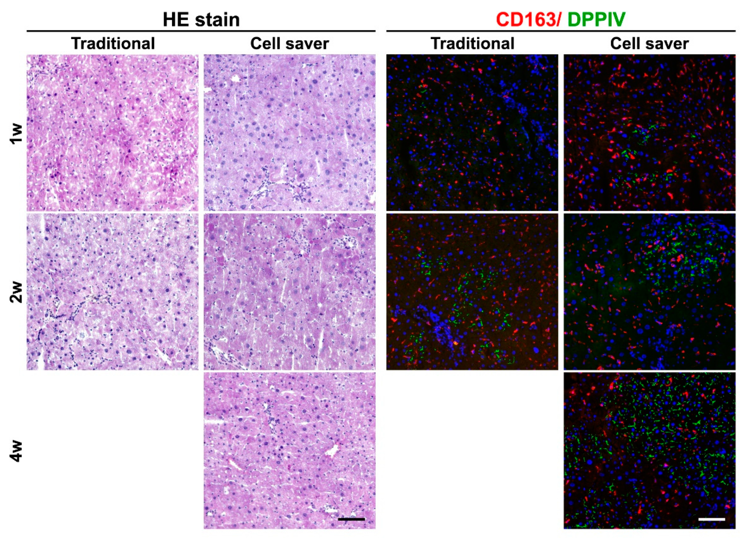 Jpm 11 00326 g006 Jpm 11 00326 g006