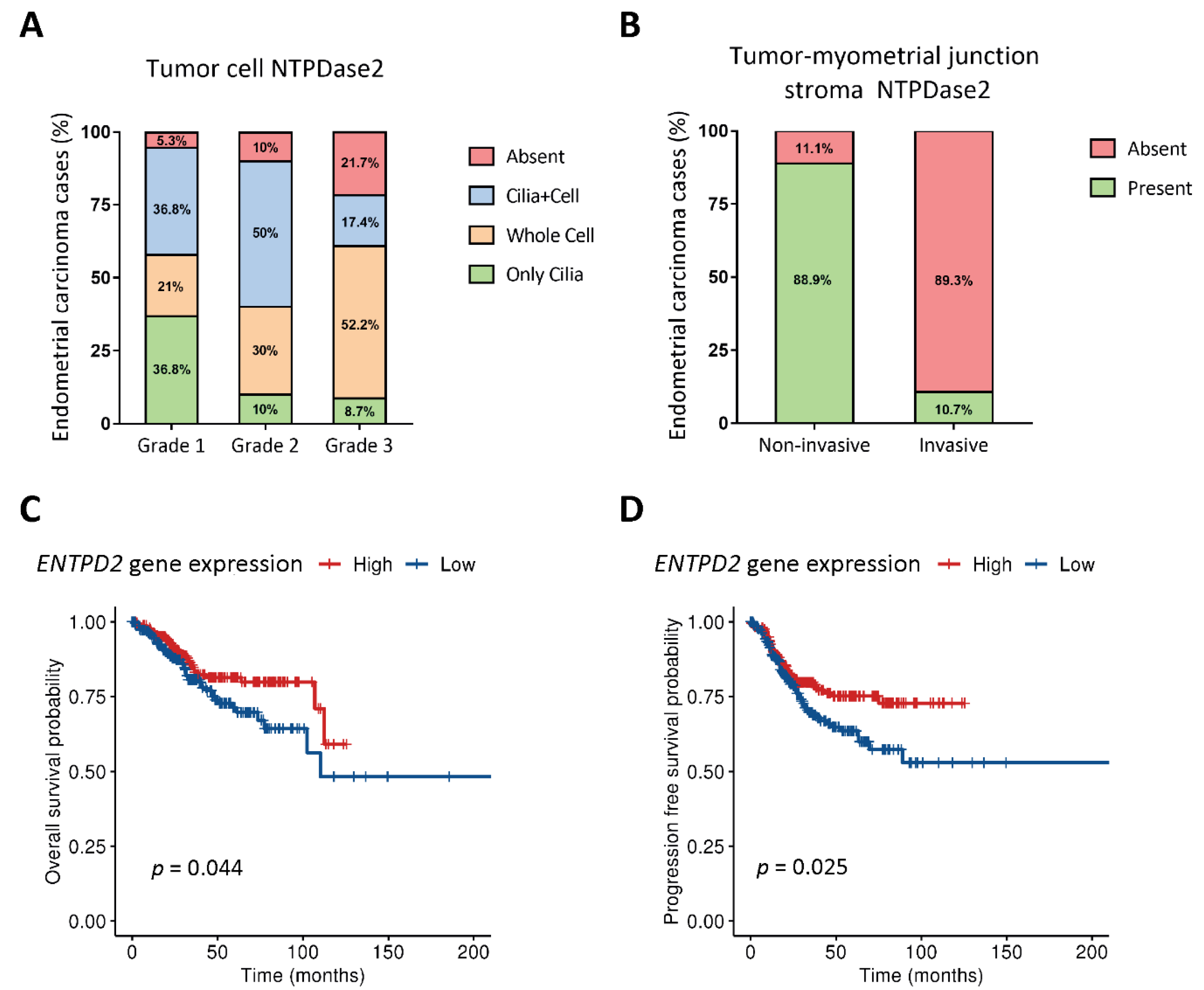 Jpm 11 00331 g002 Jpm 11 00331 g002